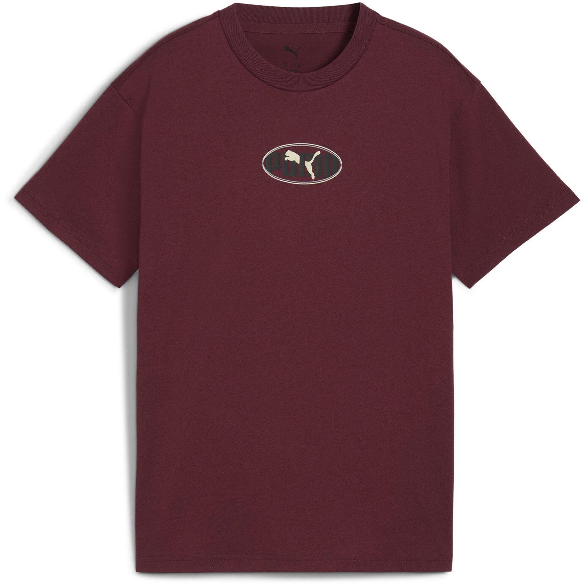 Puma Boys Kids' Essentials Graphic Regular Fit T-Shirt - Burgandy - 13 (XL)
