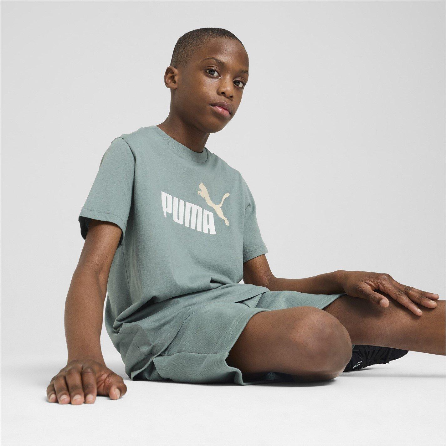 Puma Boys Kids' Essentials Graphic Regular Fit T-Shirt - Green Moon - 11-12 (L)