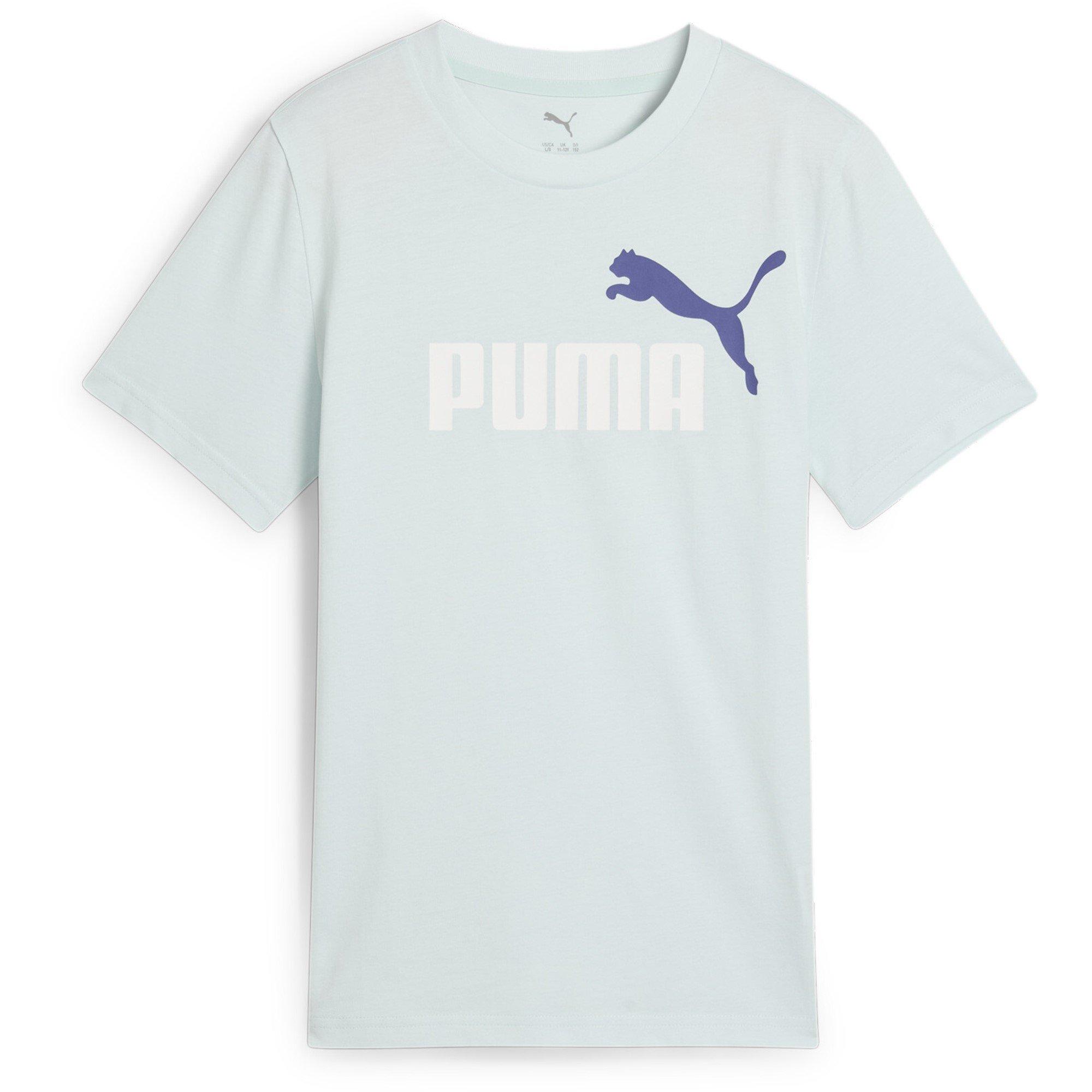 Puma Boys Kids' Essentials Graphic Regular Fit T-Shirt - Peaceful Blue - 13 (XL)