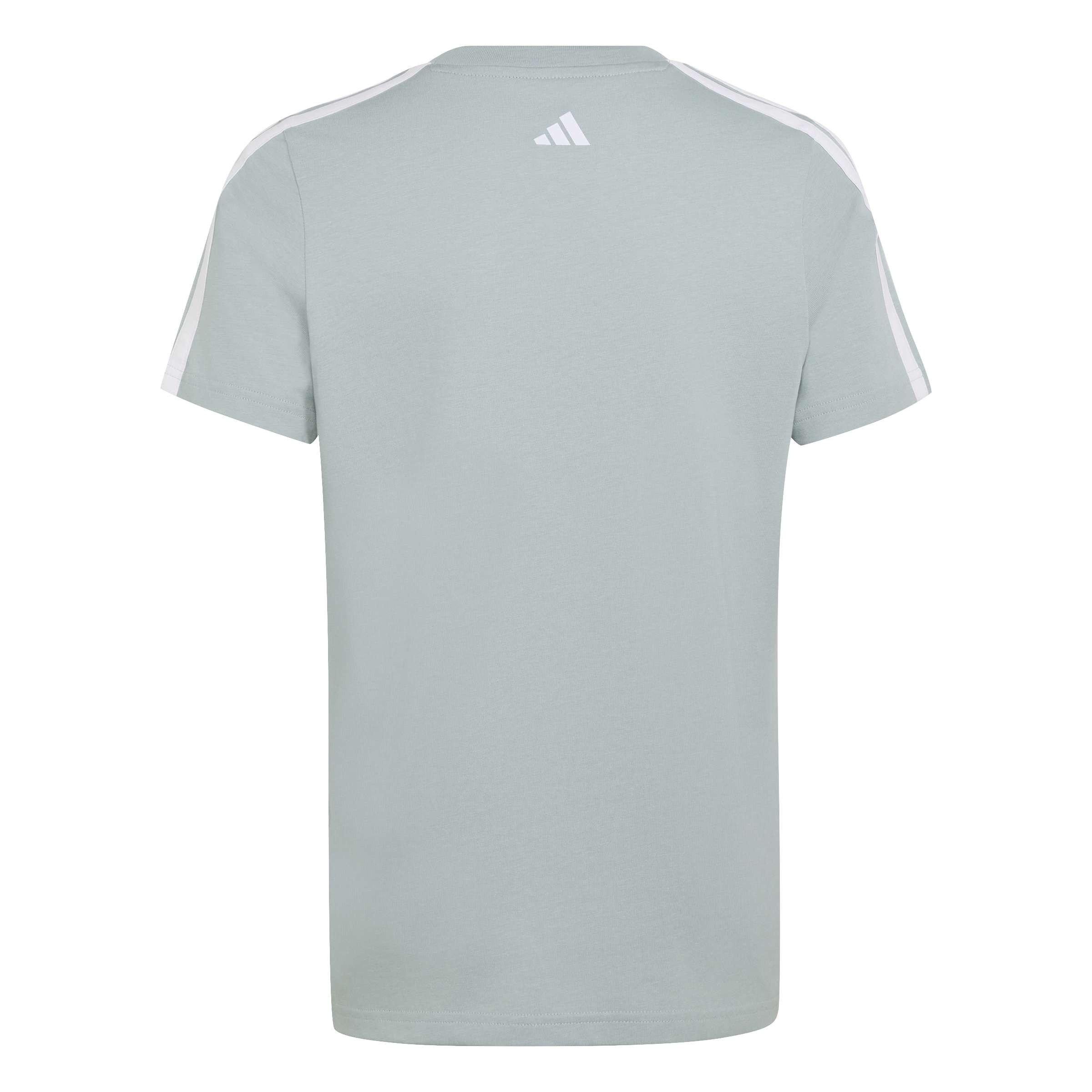 Sage - adidas - Collegiate Graphic T-Shirt Kids - 2