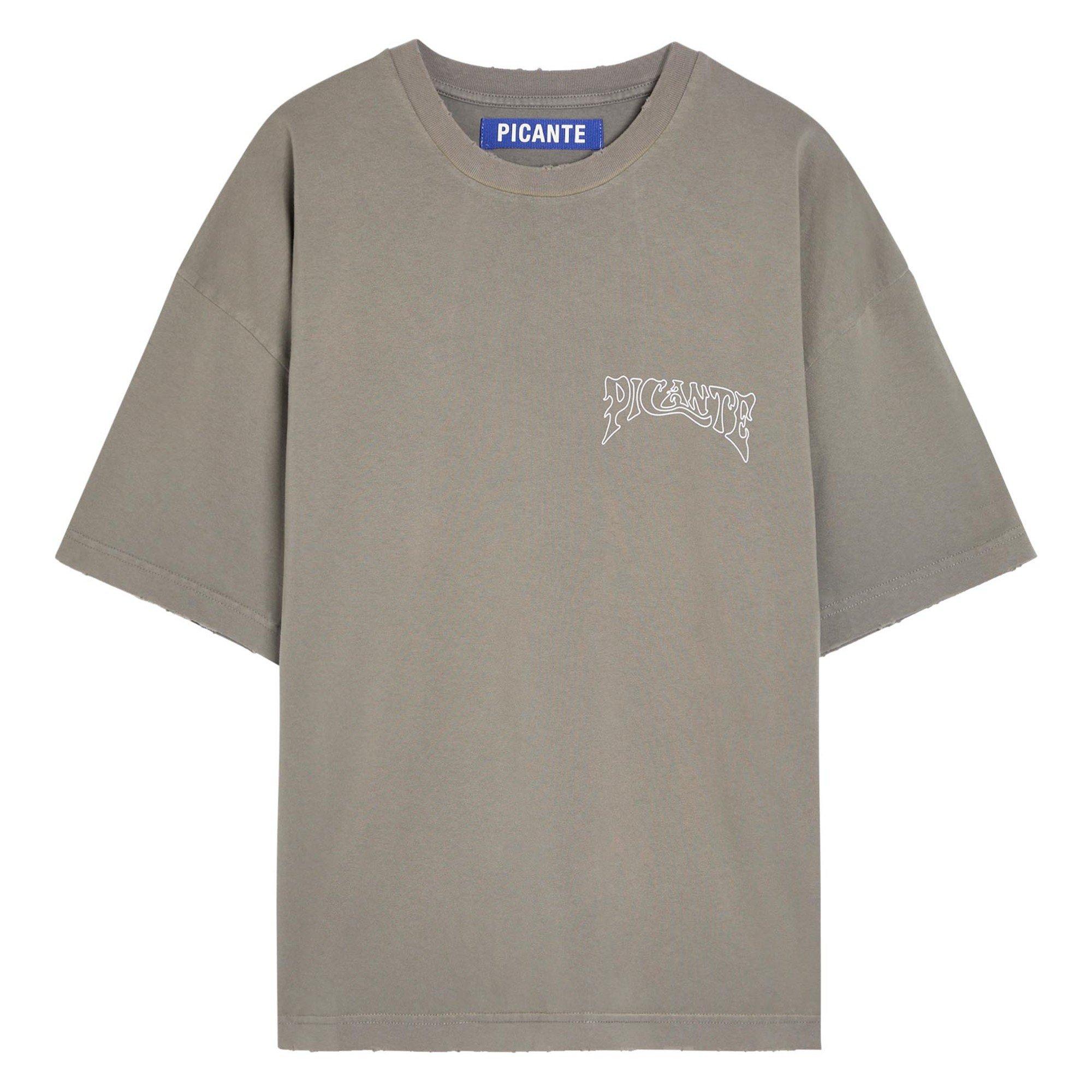 GREY AND OTHER - Picante - SACRAMENTO T-SHIRT