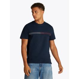 Tommy Jeans TJM SLIM ENTRY GRAPHIC TEE EXT