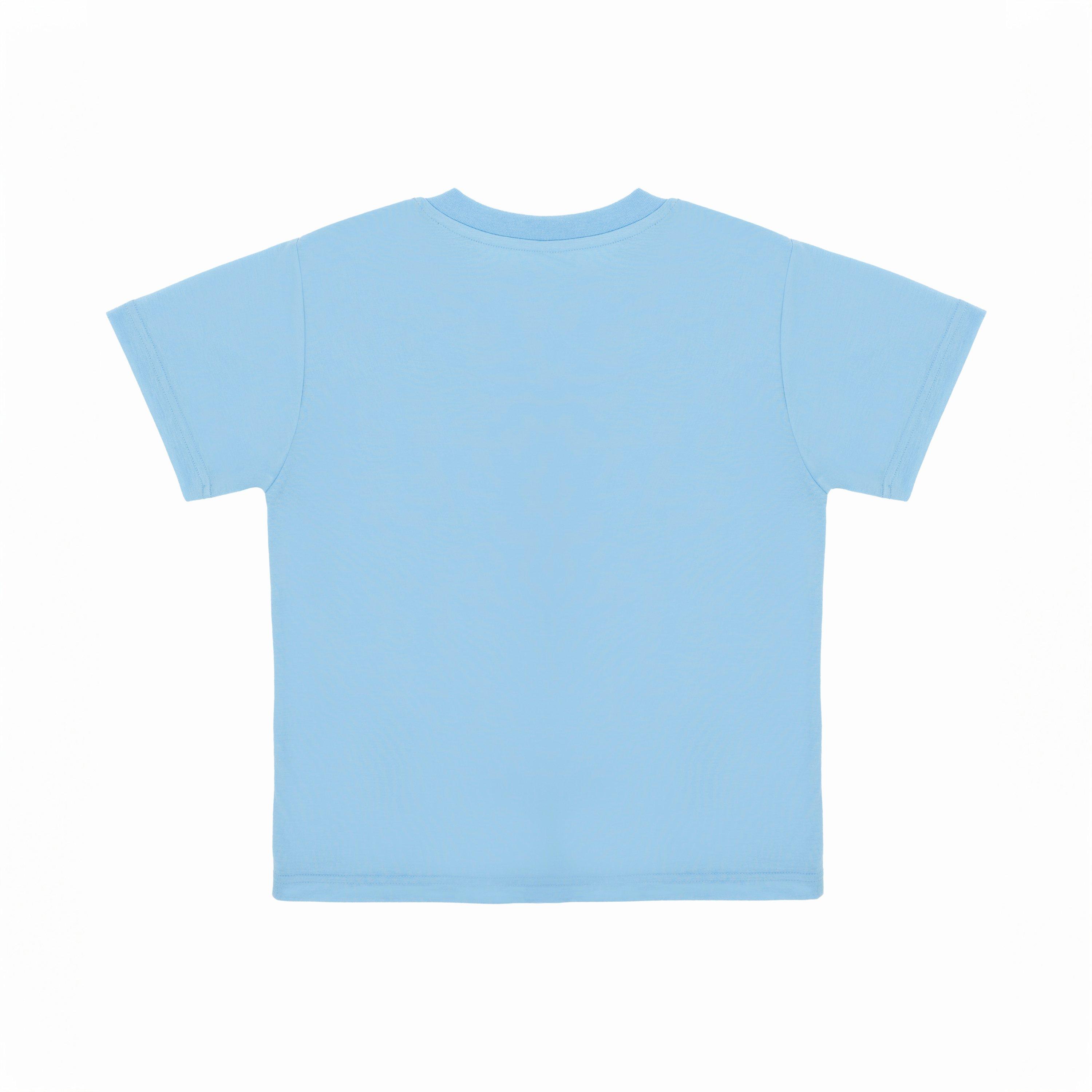 Alaskan Blue - Everlast - Logo Regular Fit T-Shirt - 3