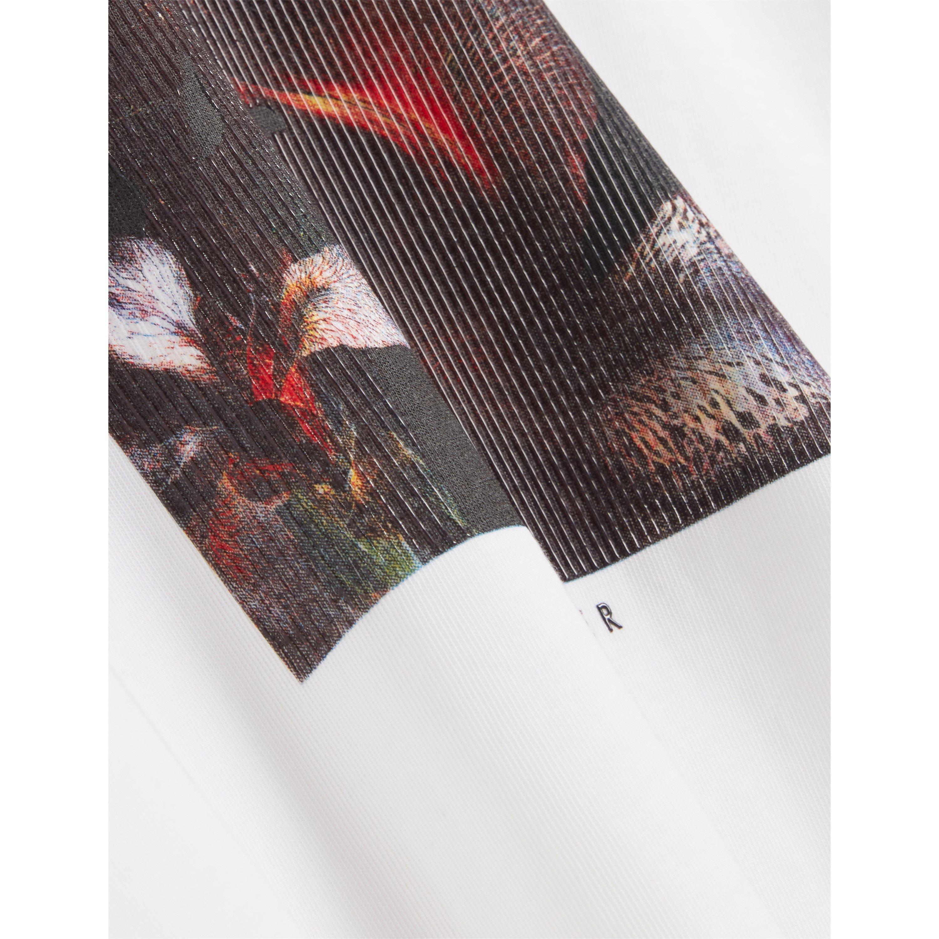 Bianco - Ted Baker - Ted SS Print Tee Sn71 - 6