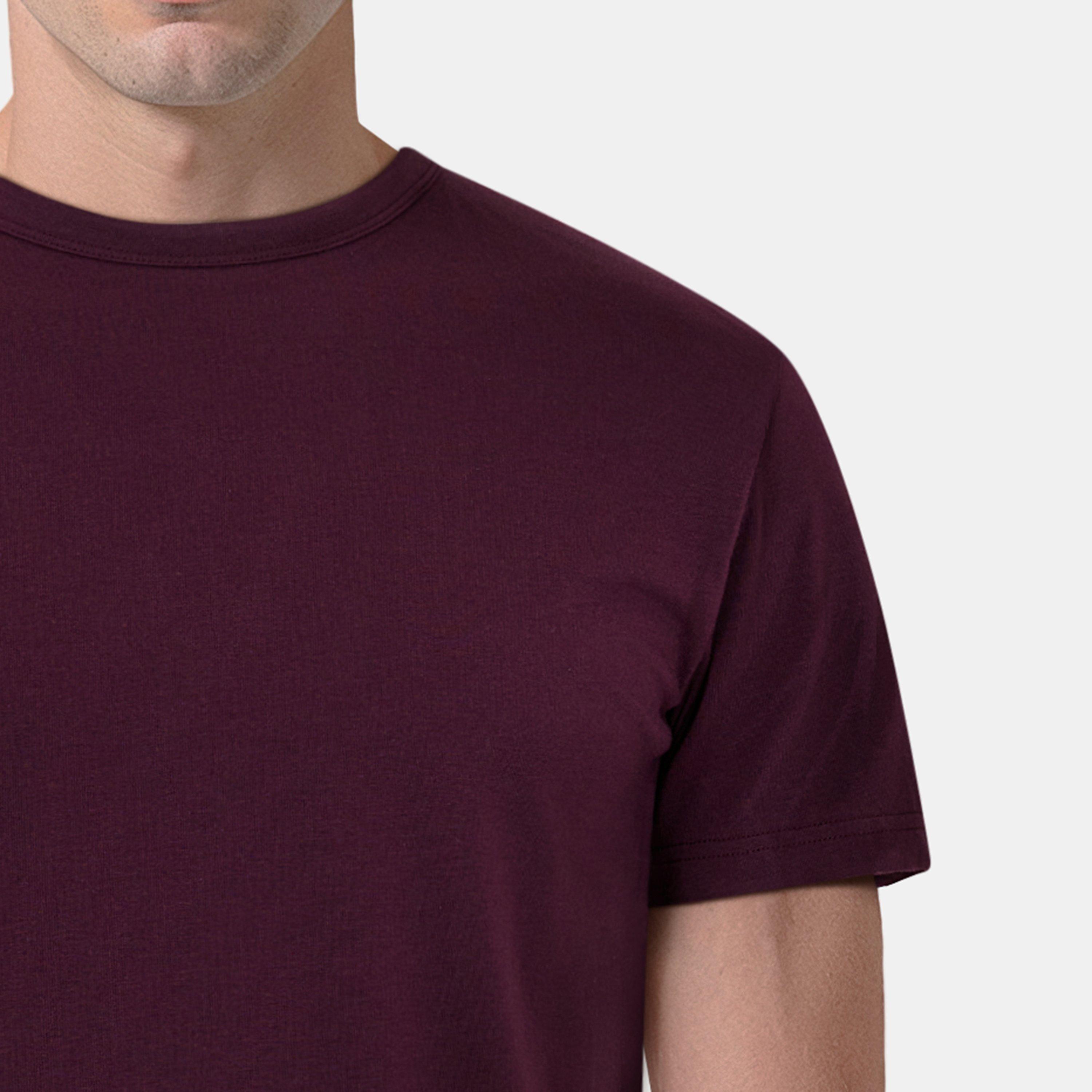 Gre/Cov/BurX259 - Lyle and Scott - Regular Fit Pack T-Shirt - 11