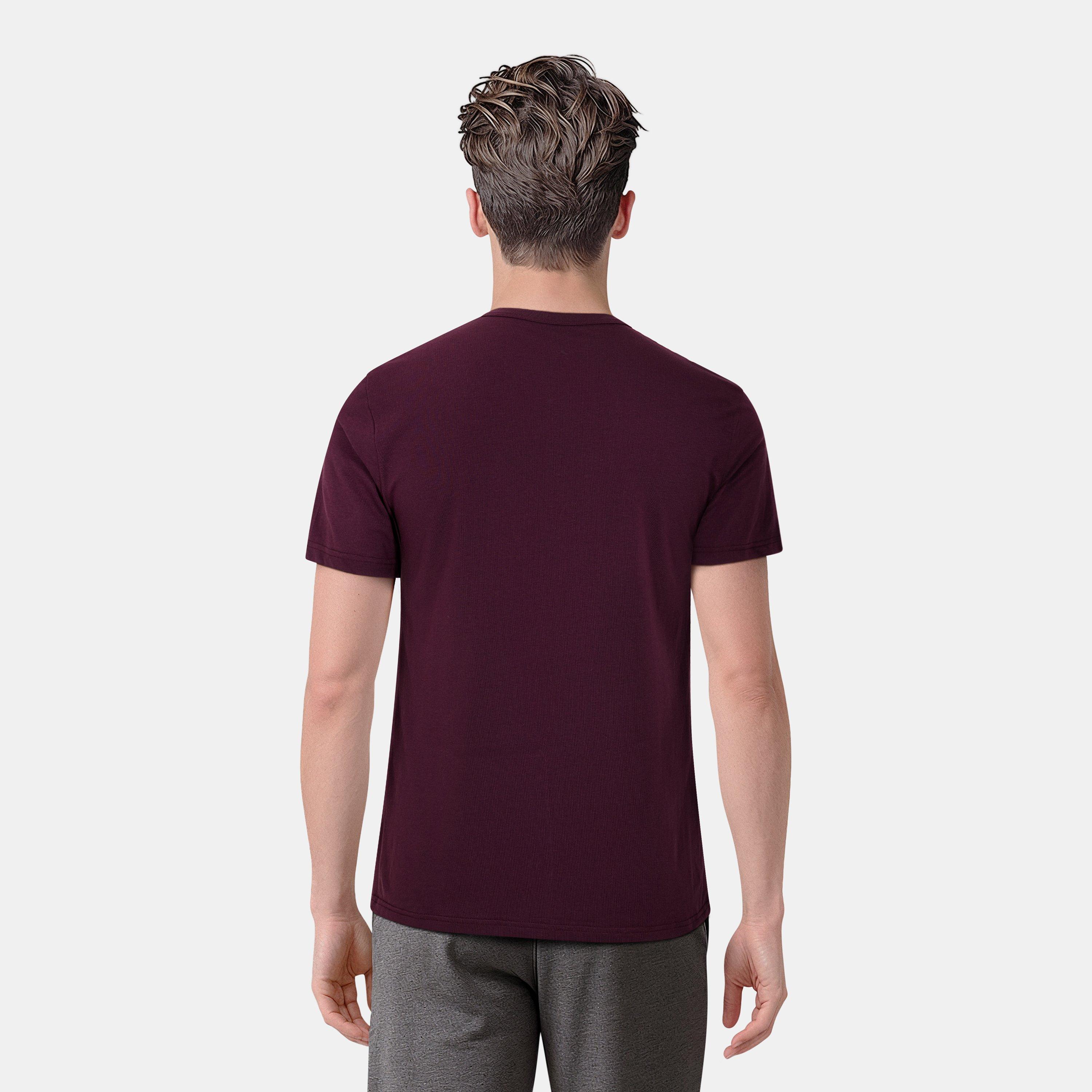Gre/Cov/BurX259 - Lyle and Scott - Regular Fit Pack T-Shirt - 8