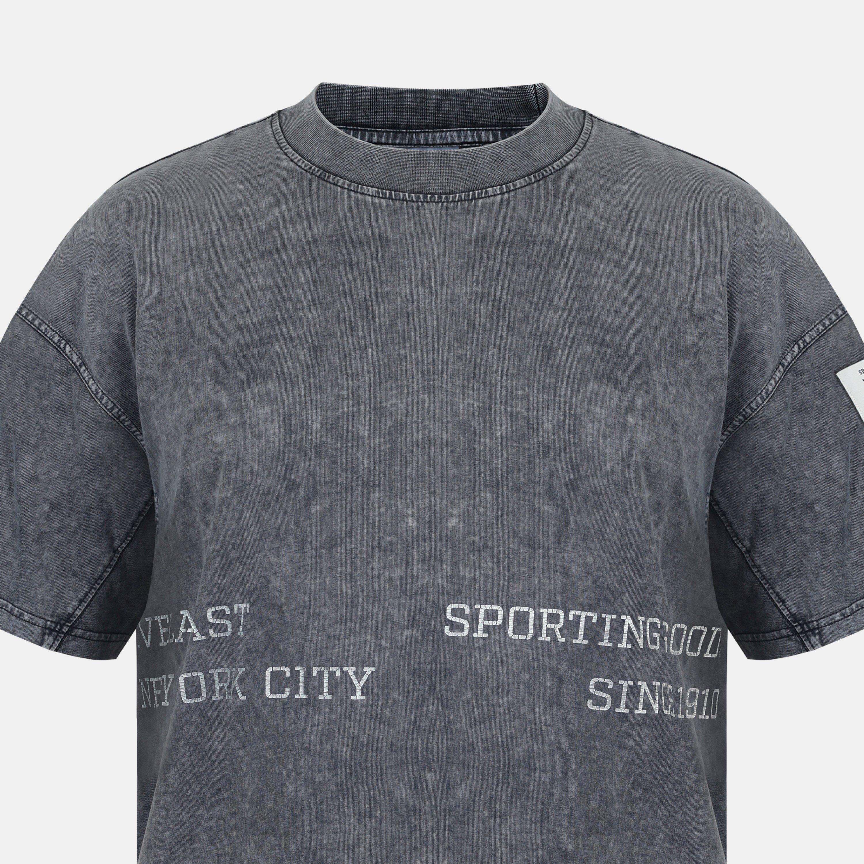 Washed Grey - Everlast - Men's NYC Linear Oversized T-Shirt - 3