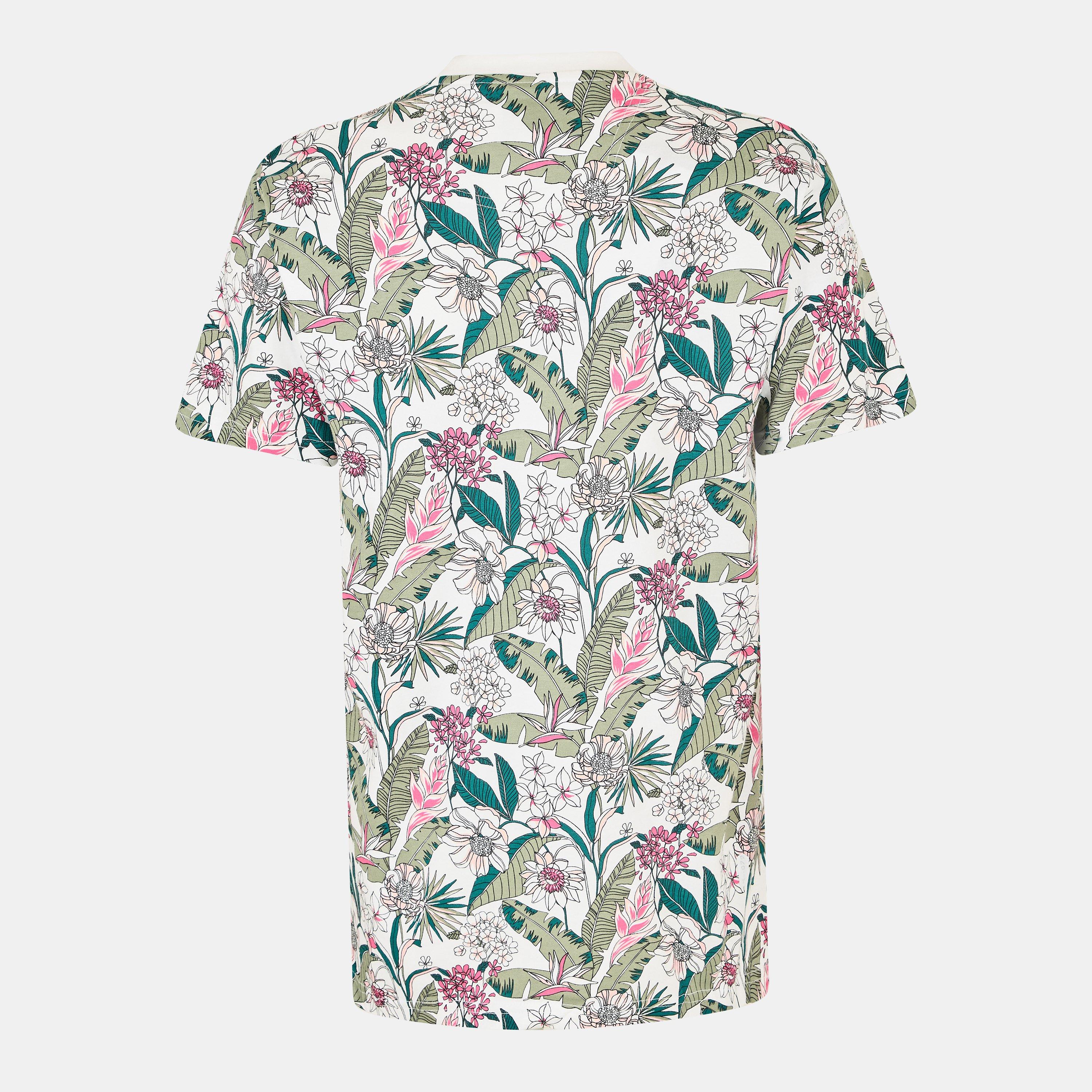 Multi - Peter Werth - W Leckonby T Sn99 - 2