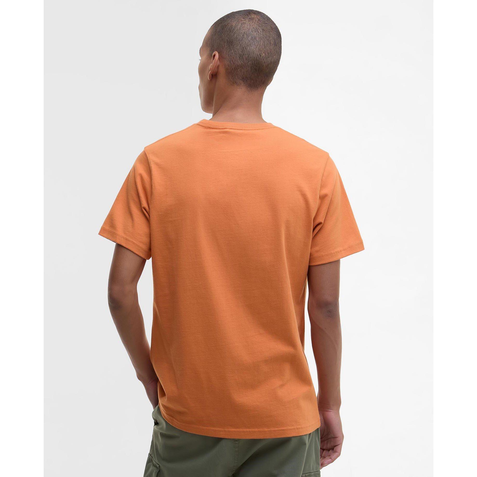 Sun Haze OR14 - Barbour - Moorside T-Shirt - 2