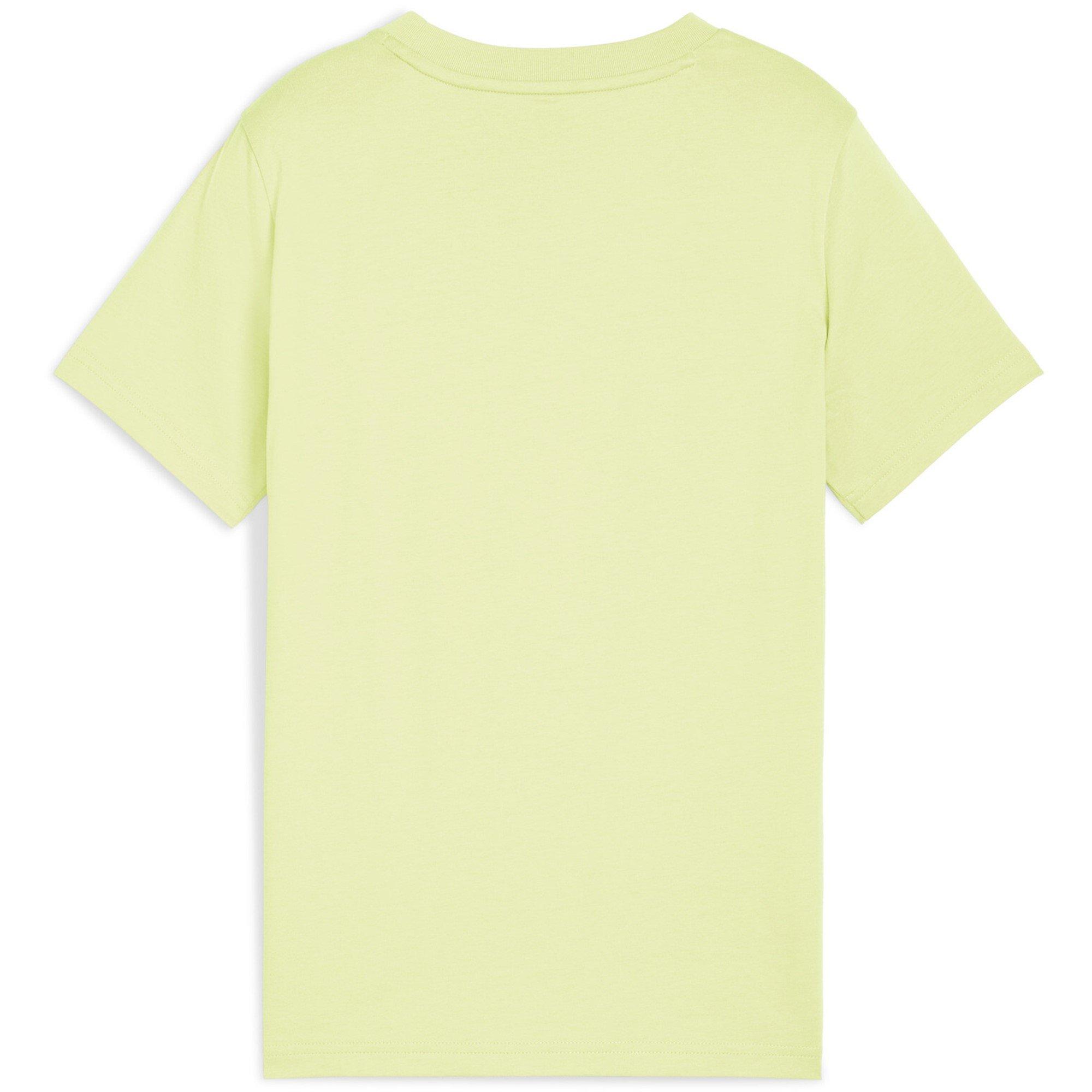 Gold Moon - Puma - Kids' Graphic T-Shirt - 2