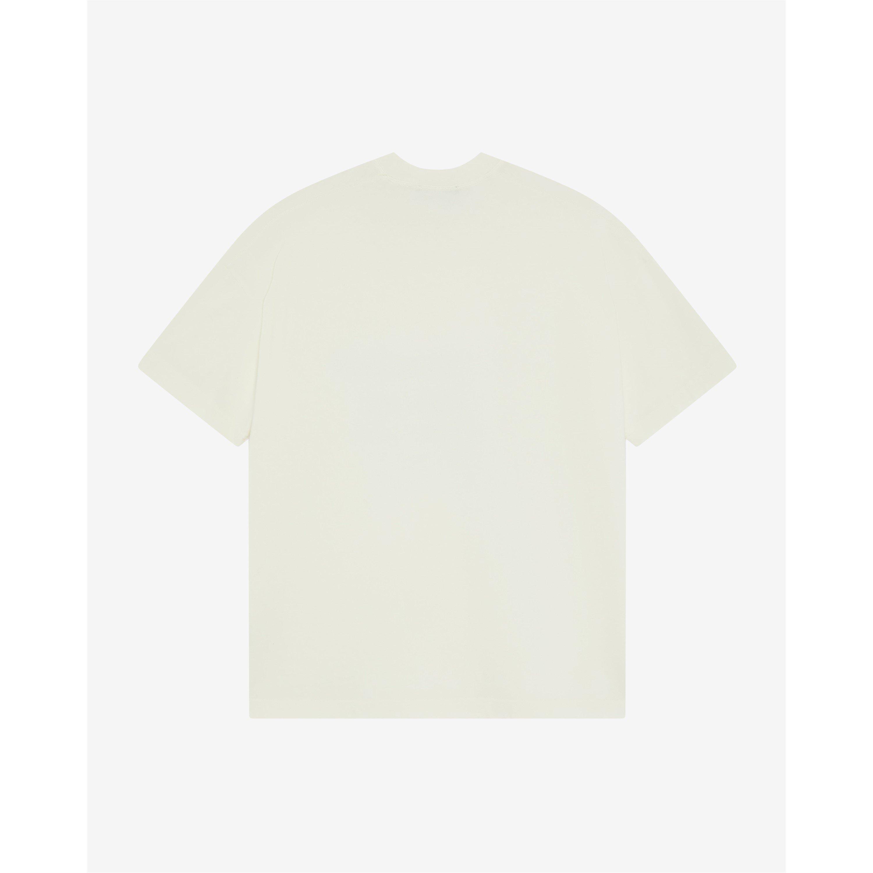 Cole Design Studio T Sn99