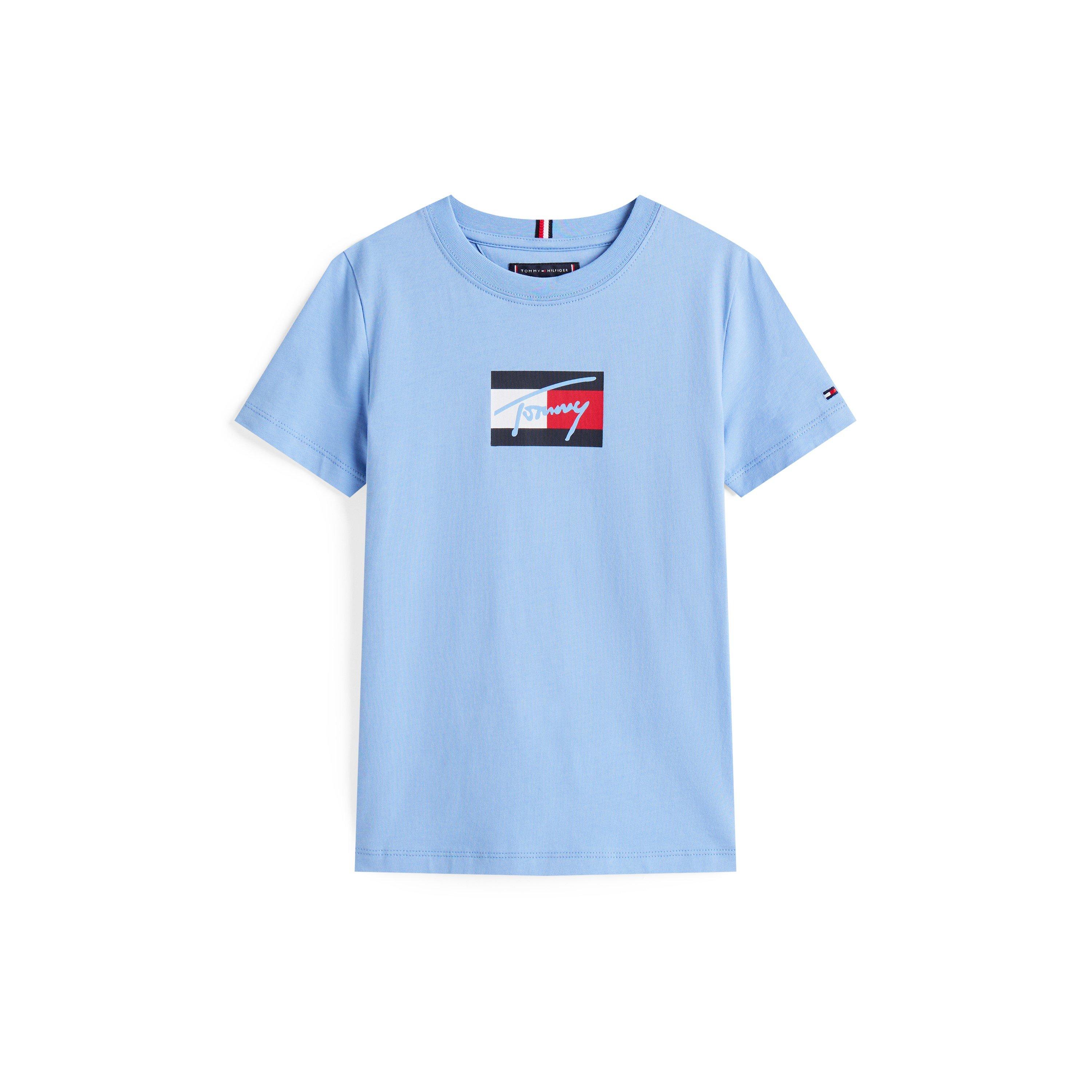 Tommy Hilfiger Boys Kids' Script T-Shirt - Cloudy Blue C14 - 14Y