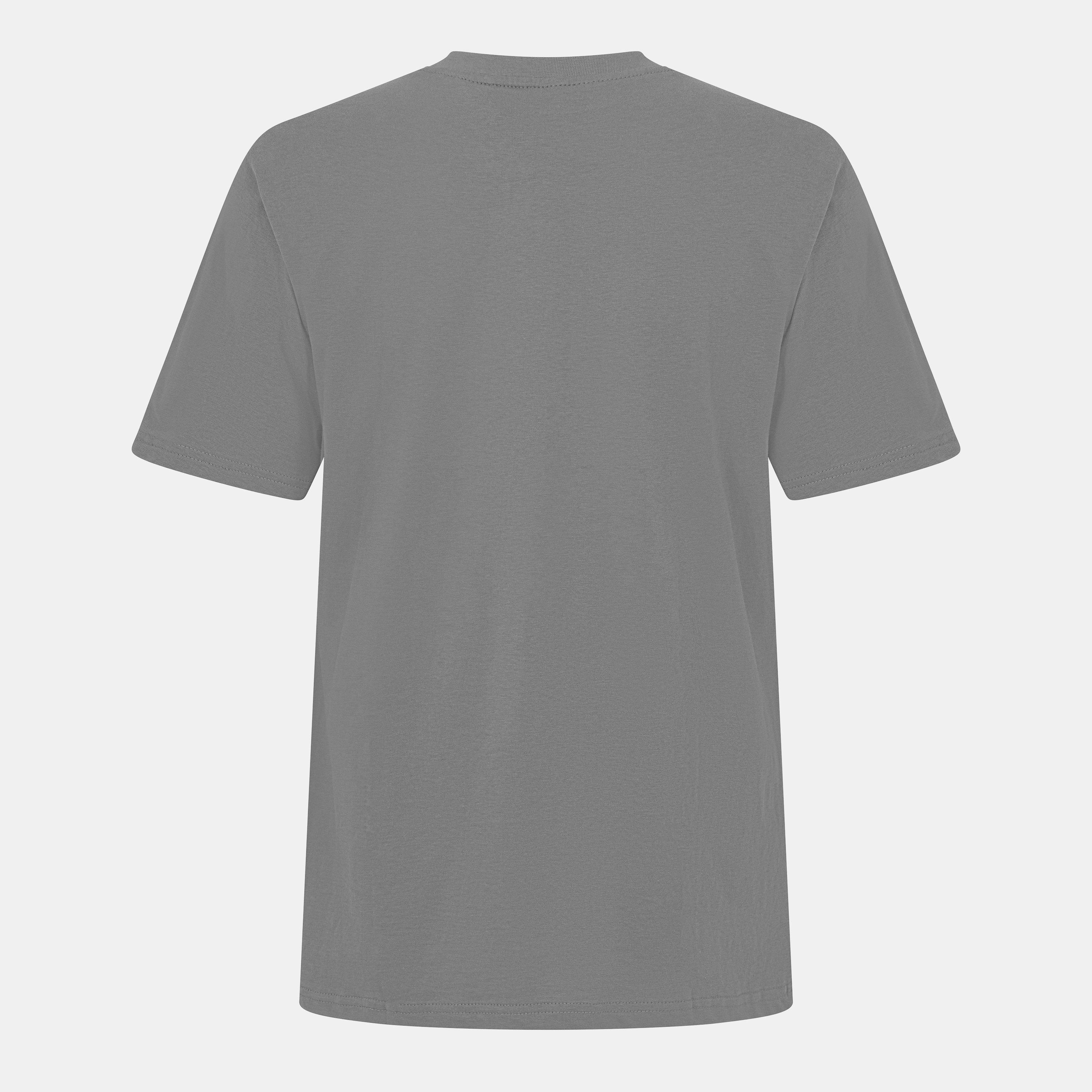 Schiefer - Threadbare - Men's Regular Fit Angeloni T-Shirt - 2