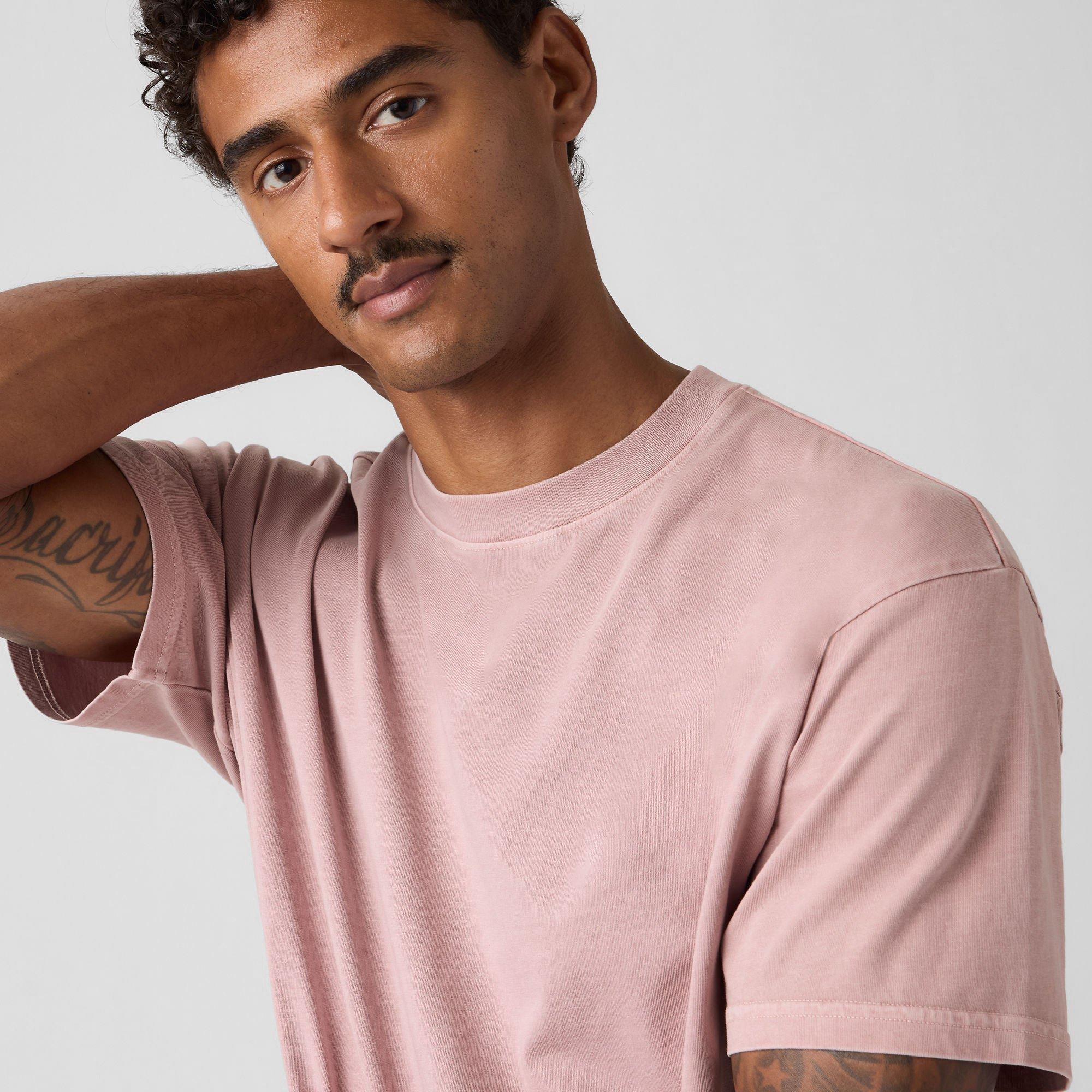 Dye Fawn - Levis - Levis Classic Boxy T Sn63 - 3