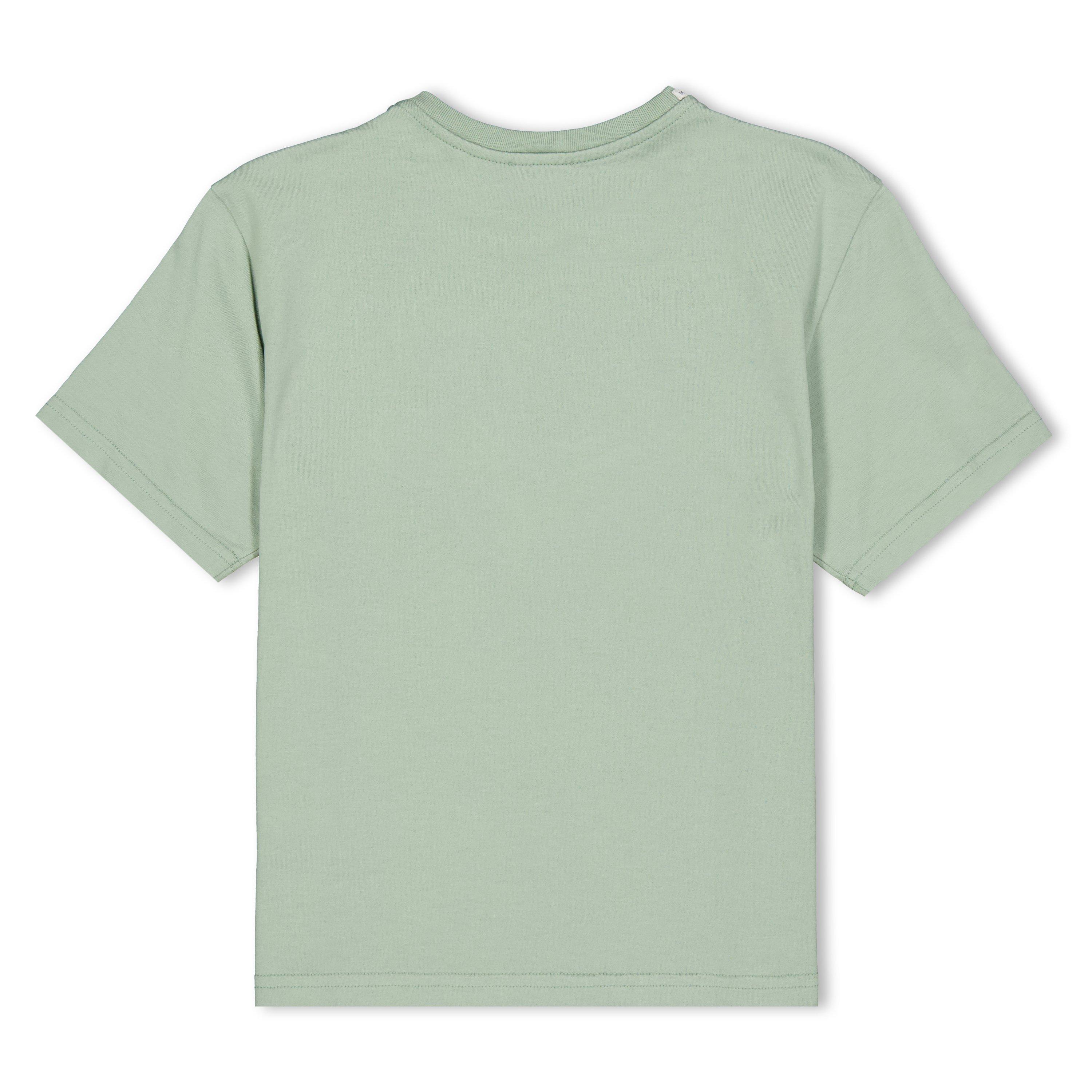 Sage V3732 - Dolce and Gabbana - DG Logo Tee Jn61 - 2