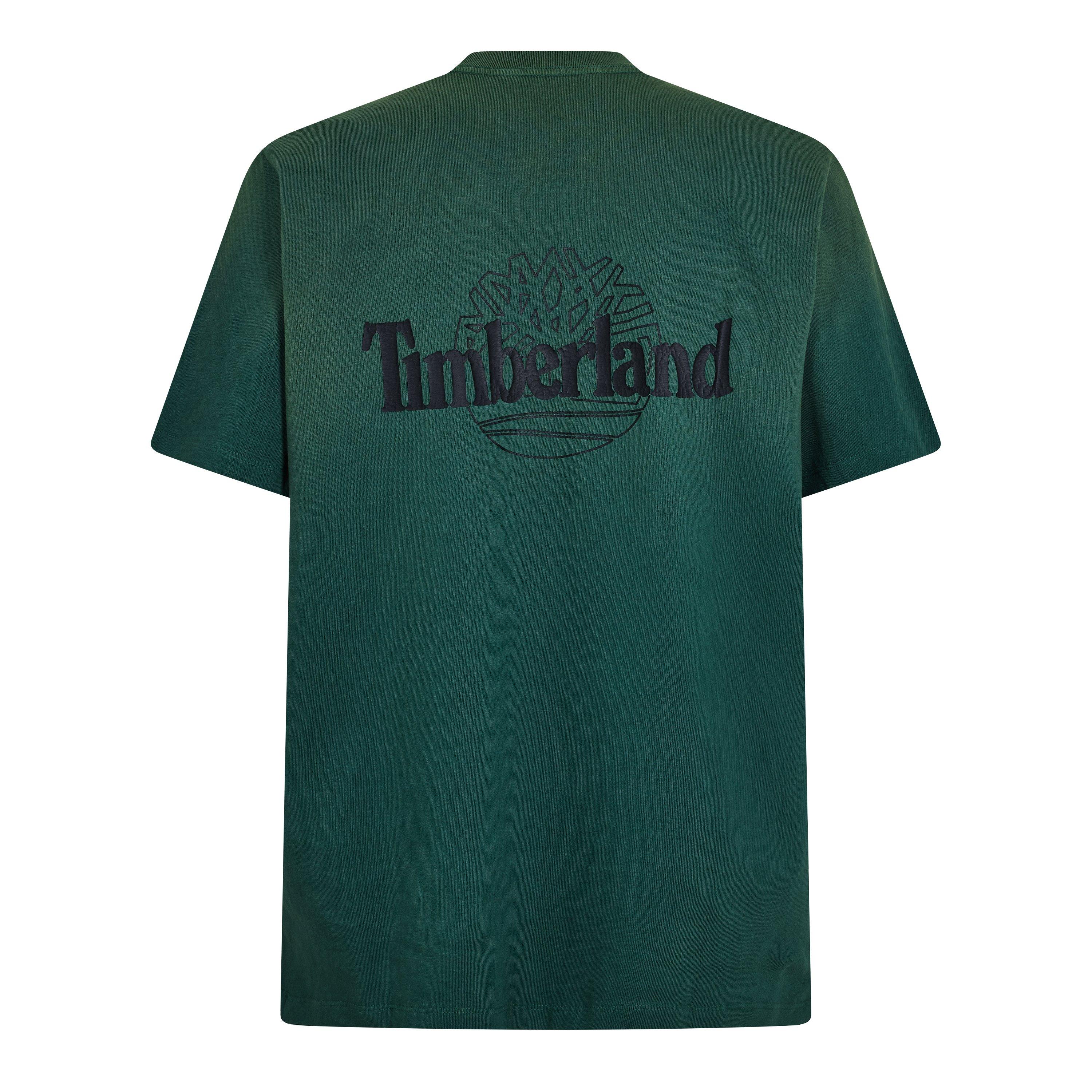 Pineneedle - Timberland - Timb Sunfade Bck Grp Sn62 - 2