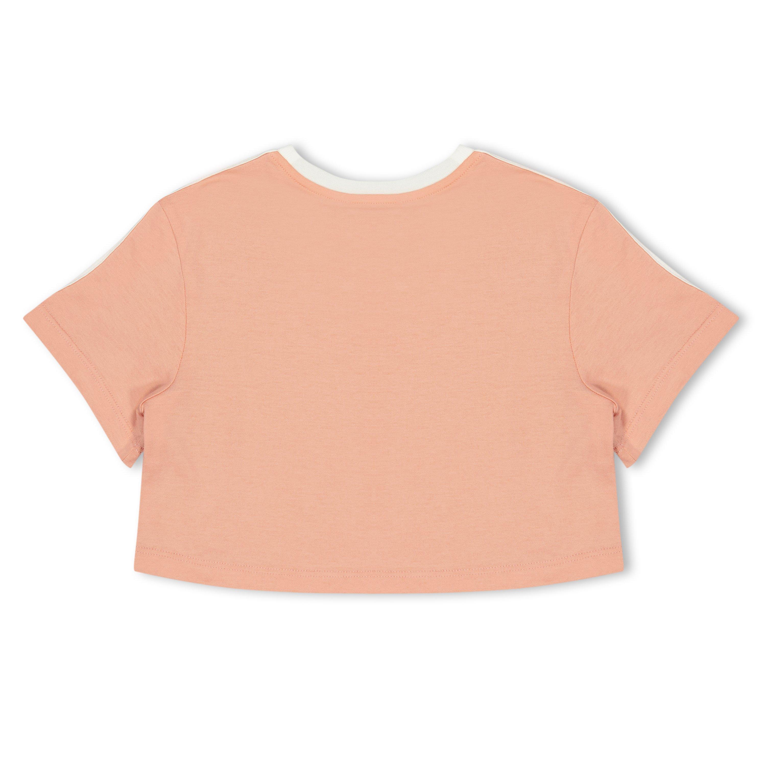 Pink F0079 - Dolce and Gabbana - DG Lgo T-Shirt Jn61 - 2