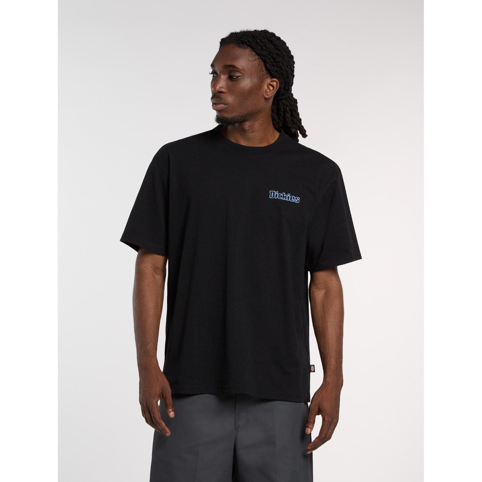 Schwarz - Dickies - Dickies Fairlawn Tee Mens - 2