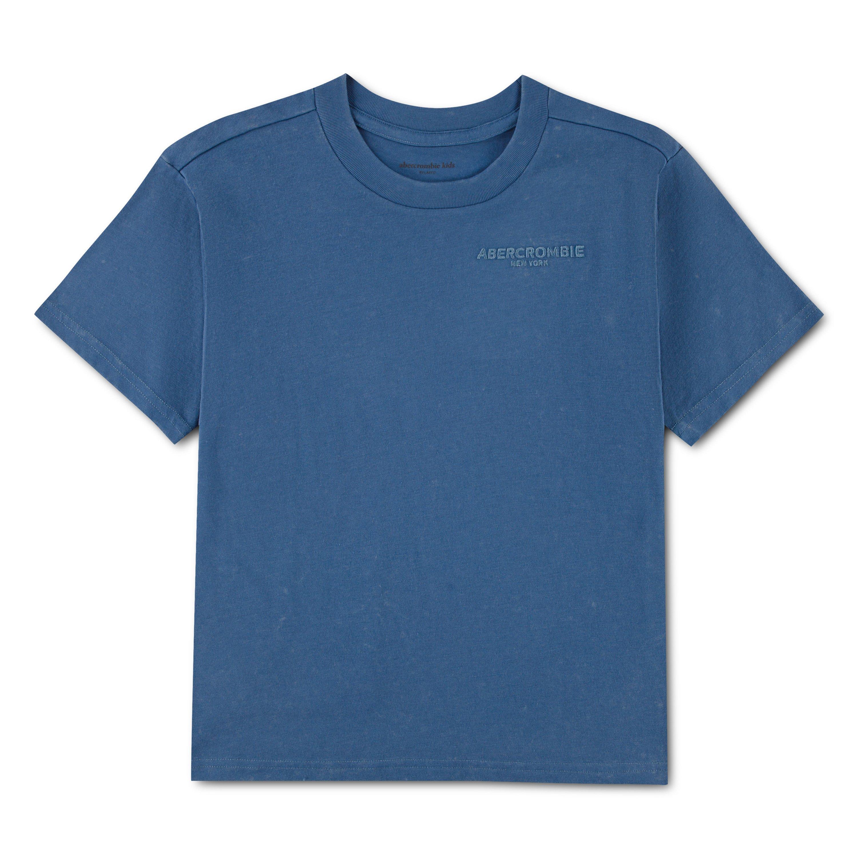 Abercrombie And Fitch Boys Kids' T-Shirt - Moonlight U6f - 11-12Y