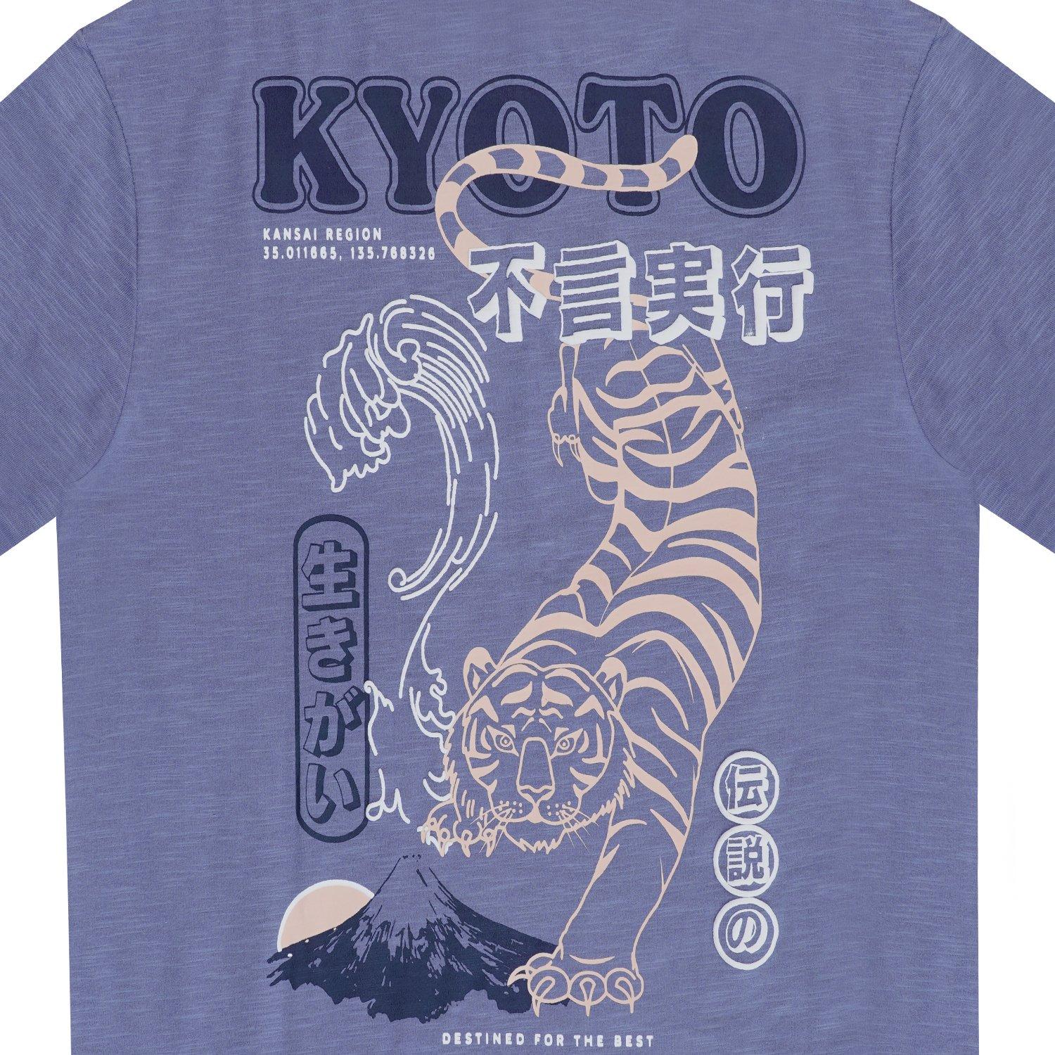 Bleu/Multi - Firetrap - Japan Pack Regular Fit T-Shirt - 5