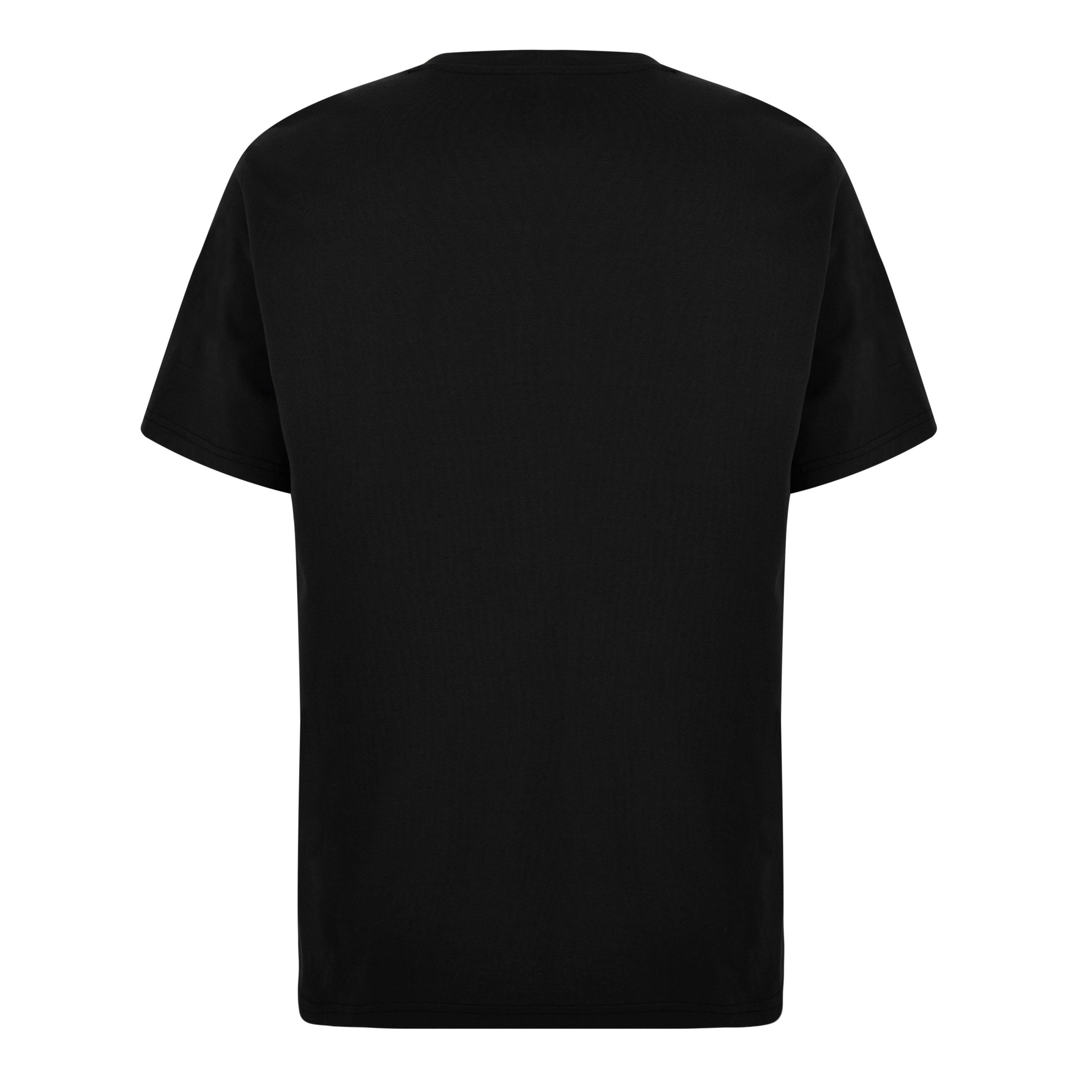 Preto BLK1 - Dickies - Mens Regular Fit Mapleton T-Shirt - 2