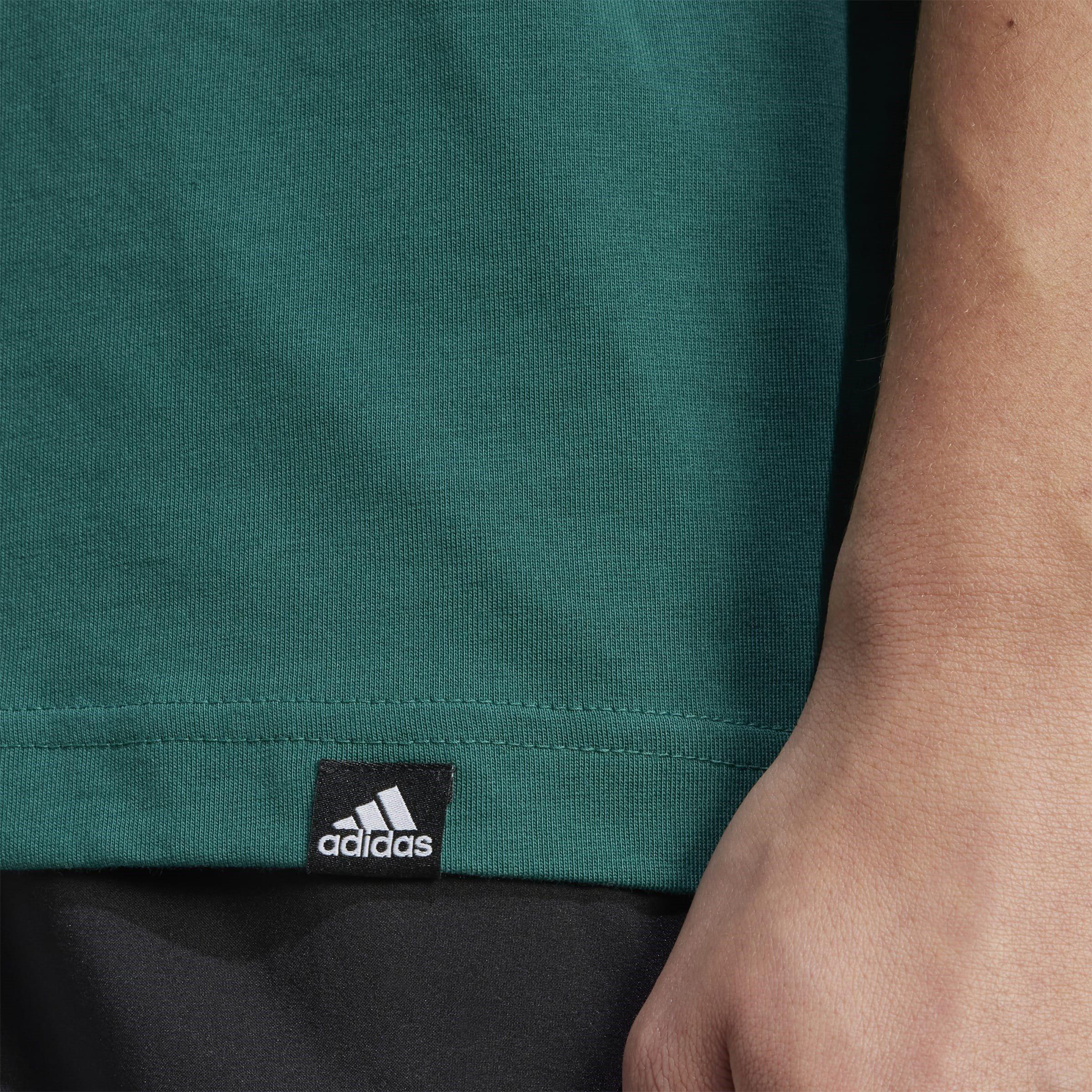 Collegiate Grn - adidas - Collegiate Graphic Mens T Shirt - 6