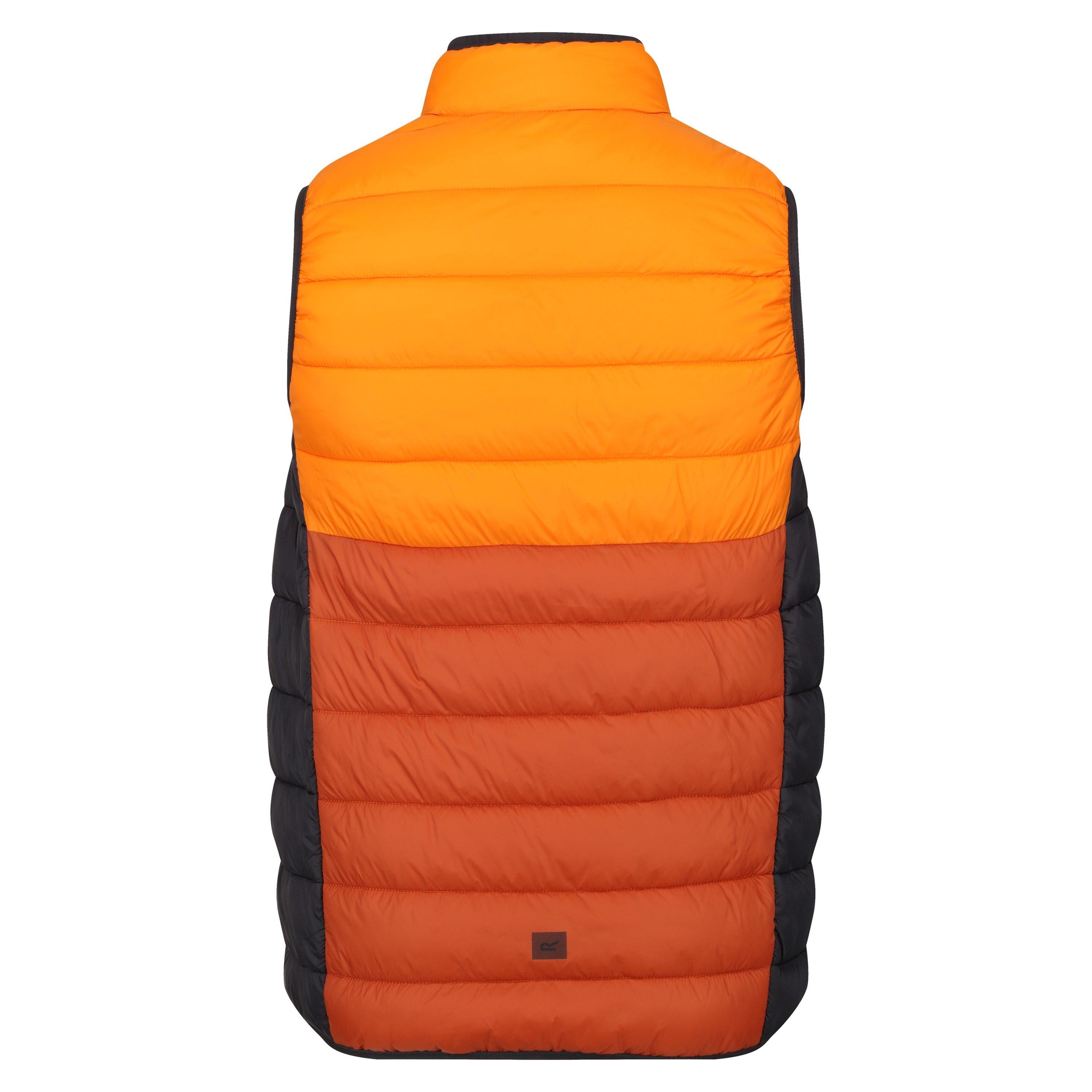 OraPep/BrnCo - Regatta - Harrock Lightweight Gilet - 2