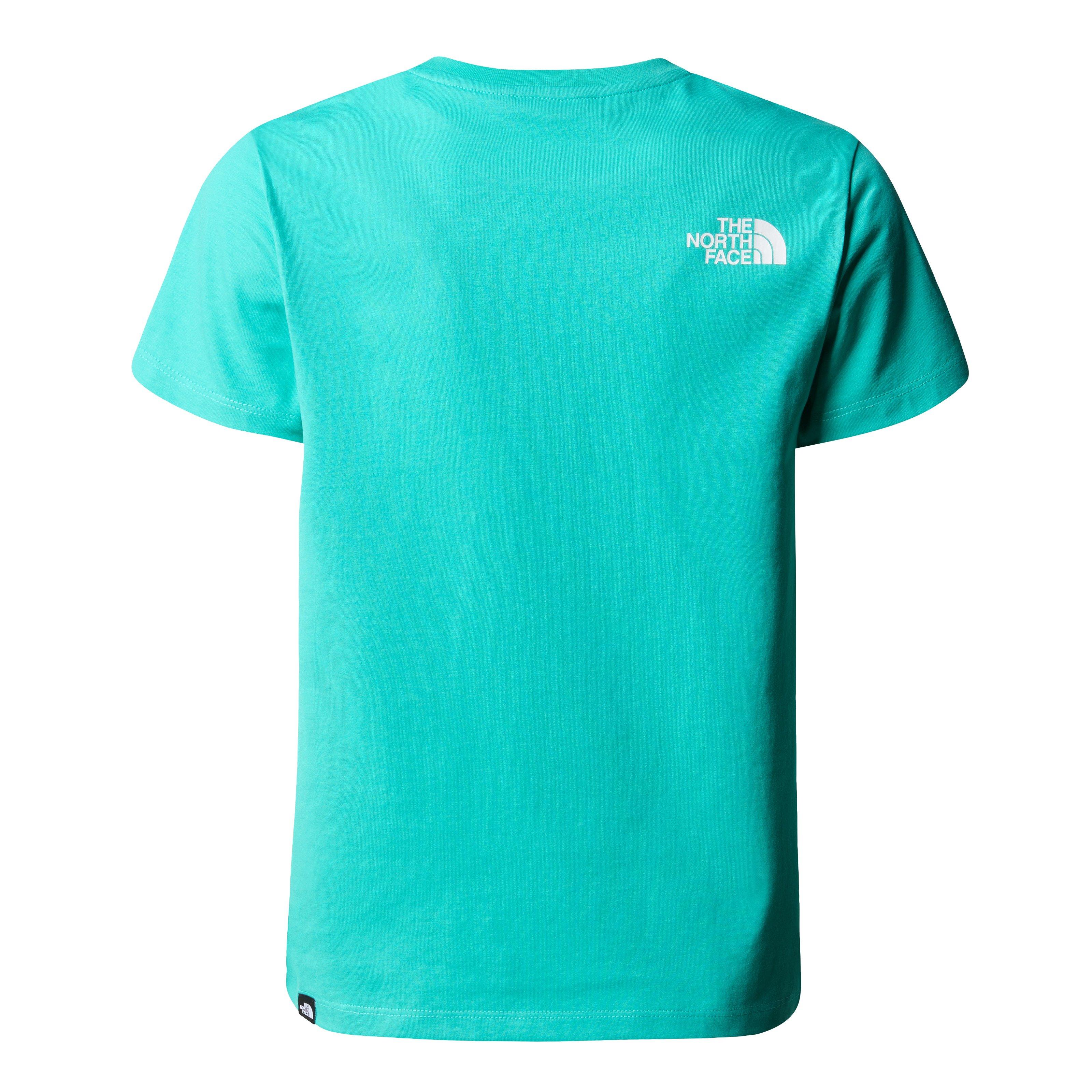 Aqua PIN - The North Face - Logo T Shirt - 2
