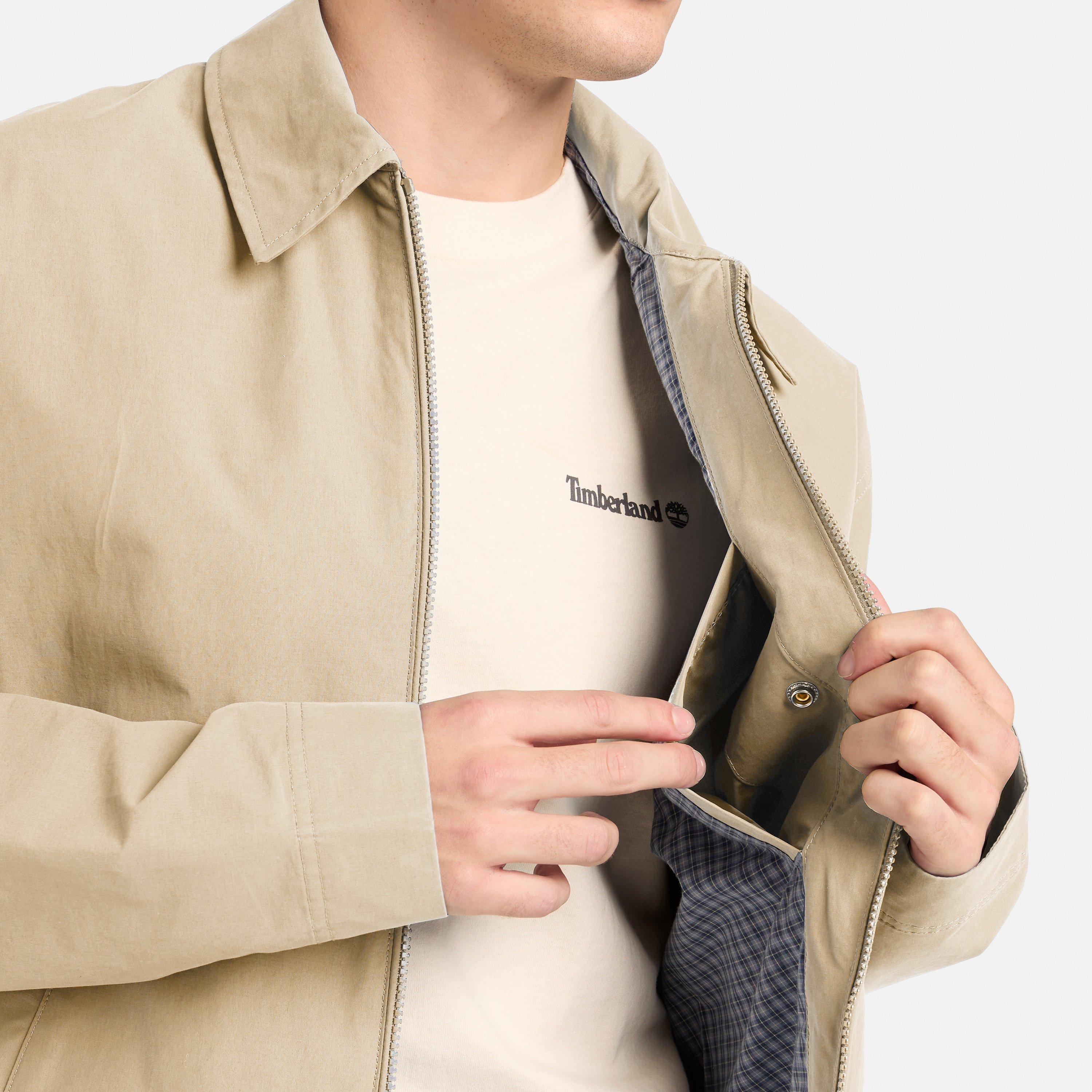 Safari - Timberland - Timb Cotton Bomber Sn62 - 4