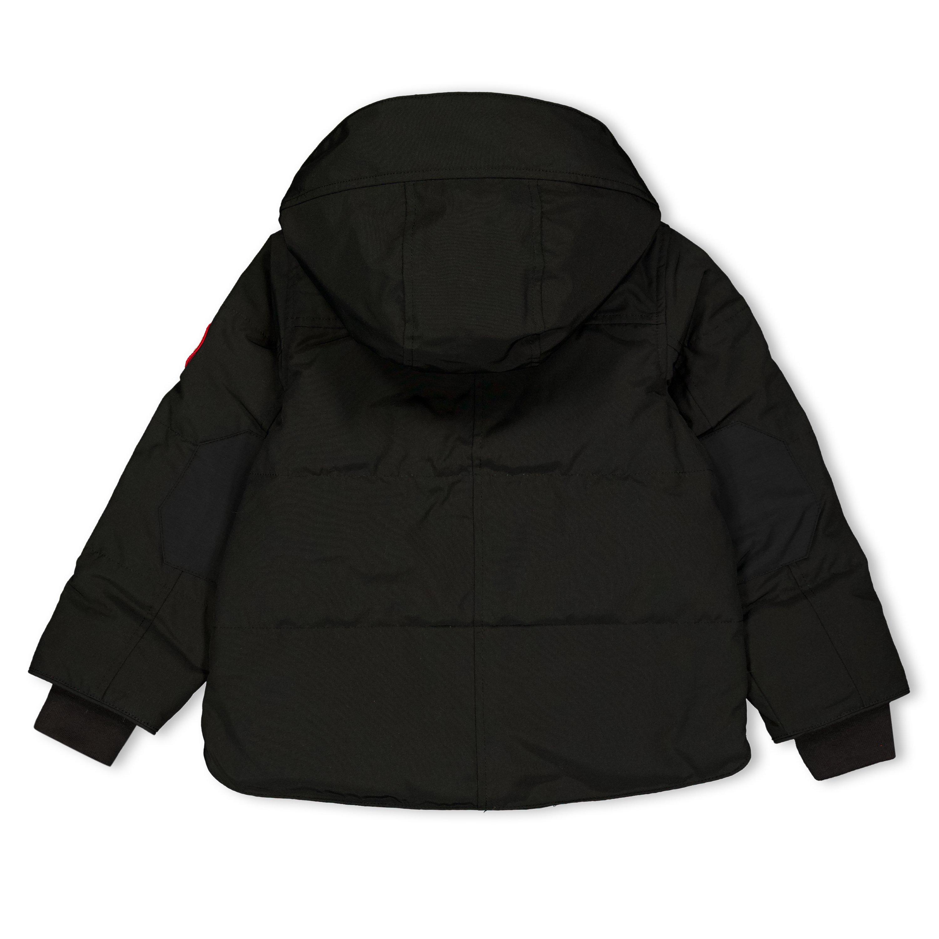 Black  Noir - Canada Goose - Canada Snowy Owl Prk Jn64 - 2