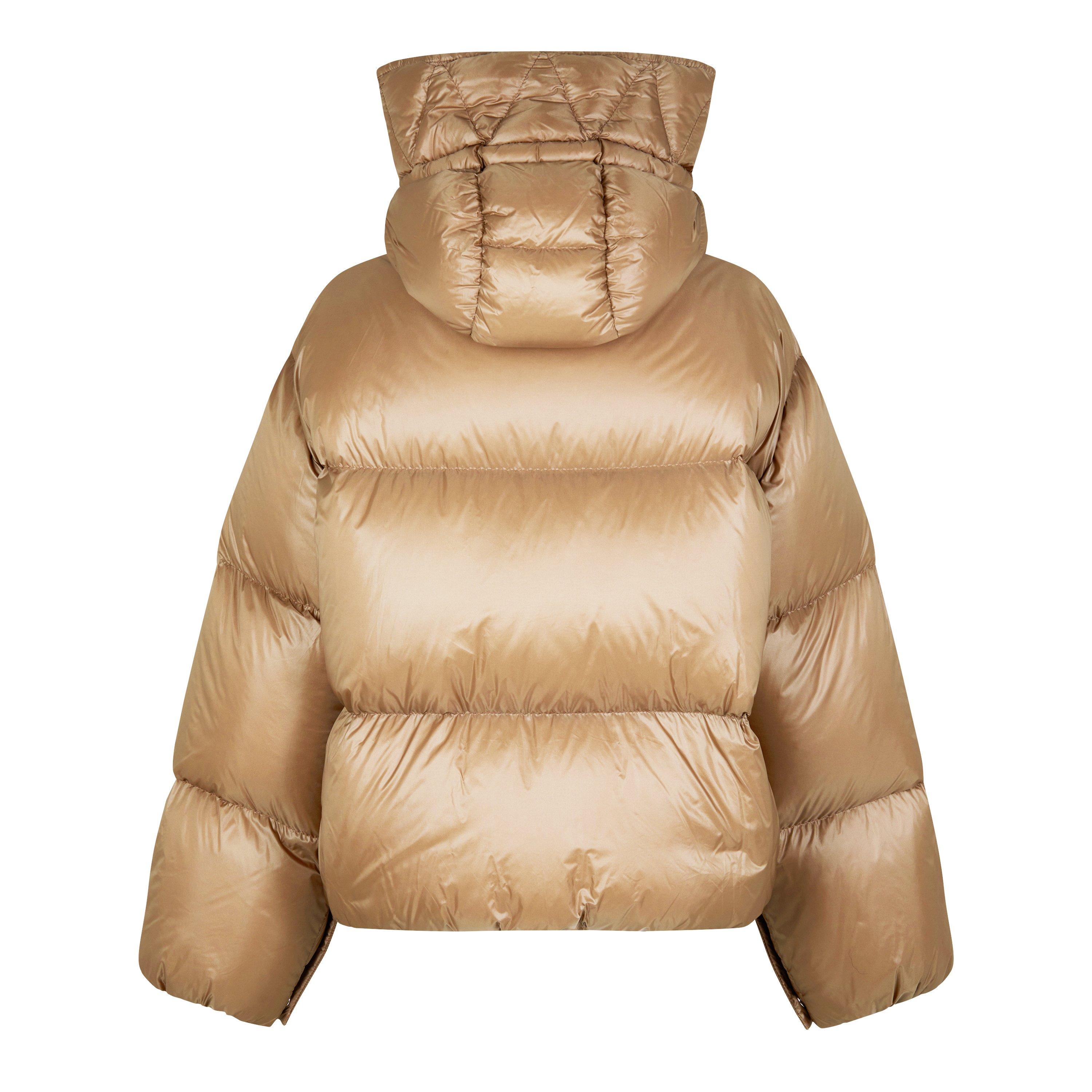 Brown 206 - Moncler - Borey Short Down Jacket - 6