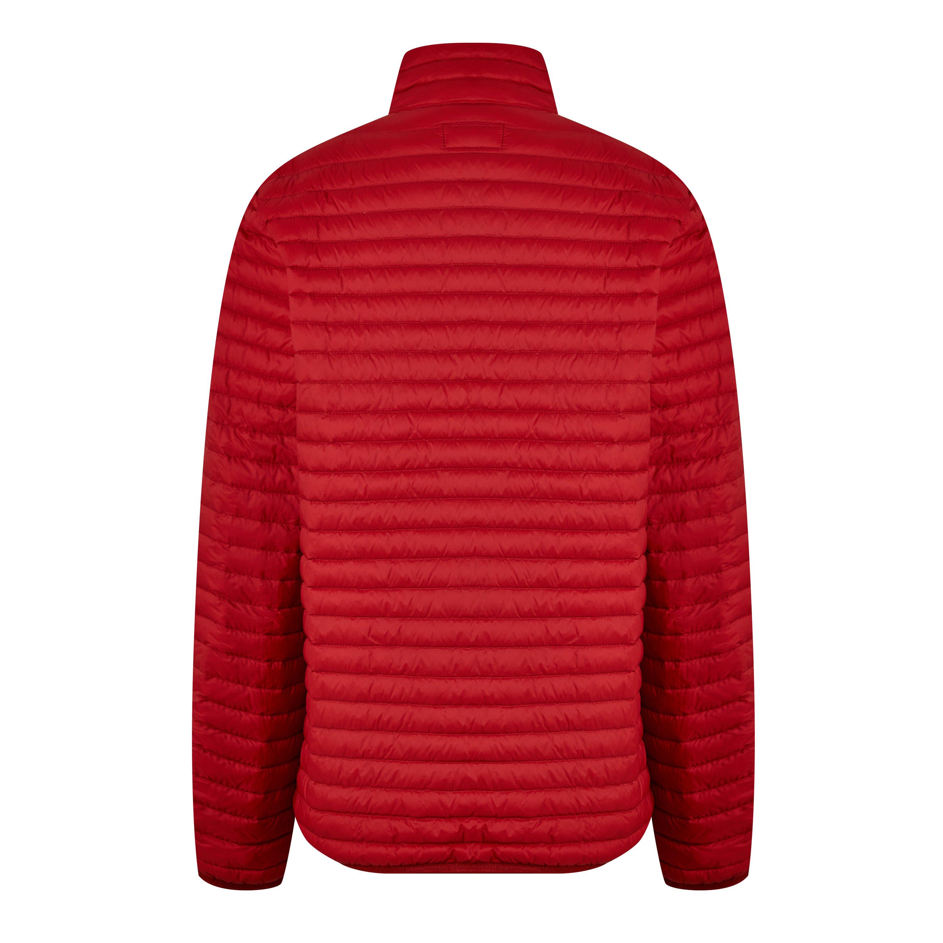 Deep Red - Emporio Armani - Kids' Insulated Short Puffer Jacket - 2