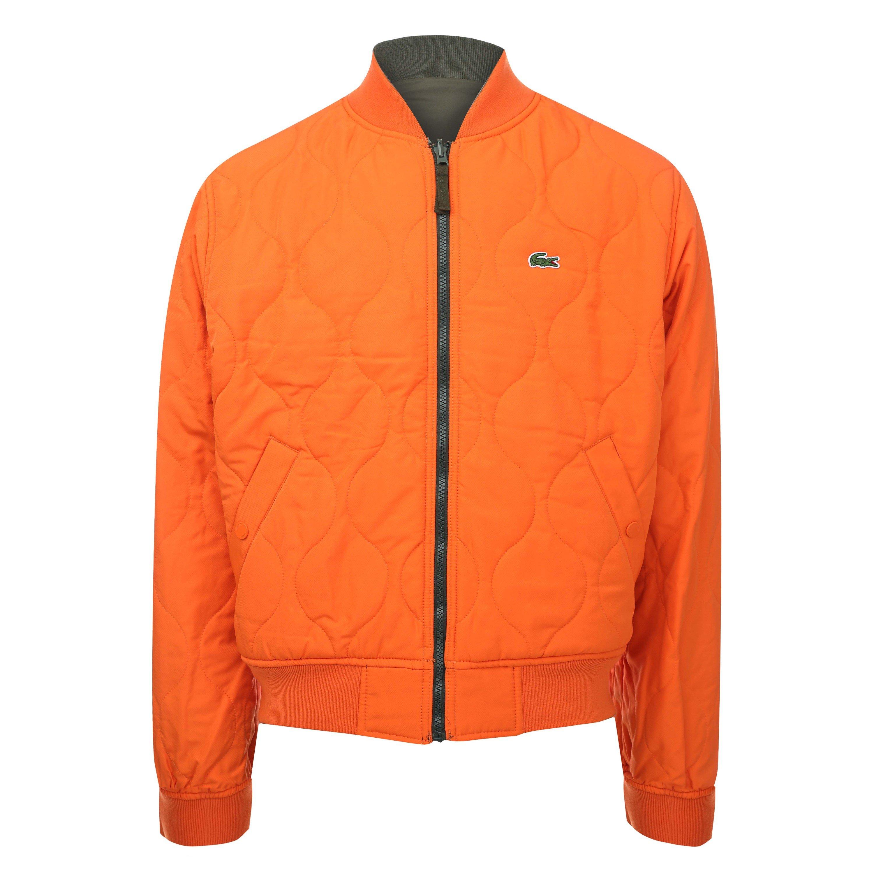 Baobab/Celosia - Lacoste - Men's Water Repellent Padded Midweight Bomber Jacket - 5