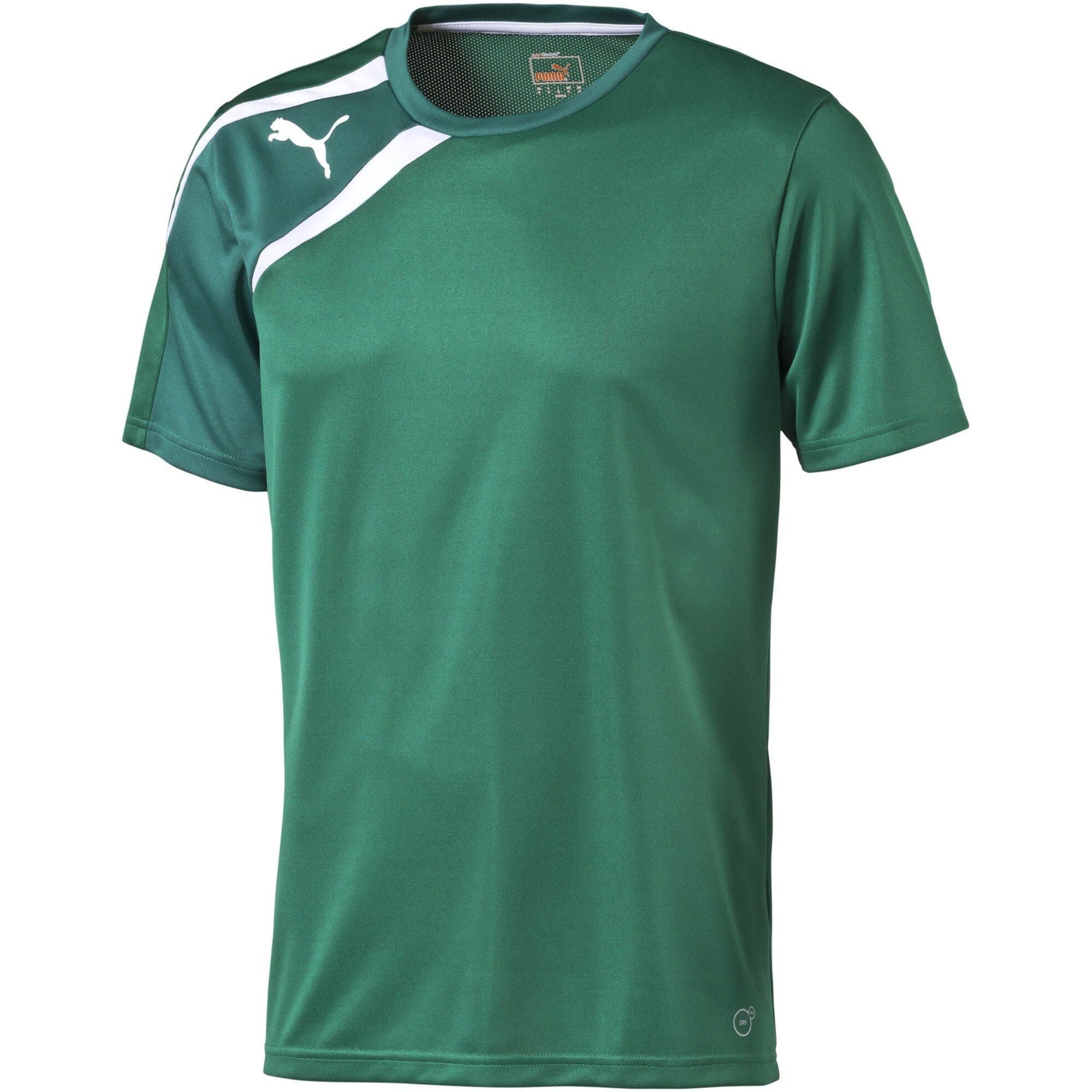 Puma (F16) Spirit Training S/S Tee Mens