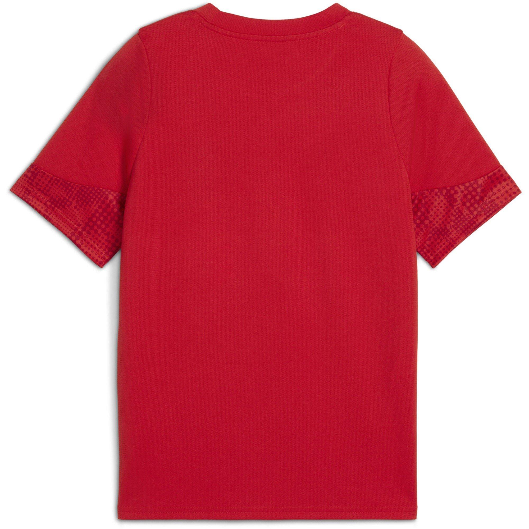 Rd-Sil-DrkChrry - Puma - Men's Football Jersey Short Sleeve Performance T-Shirt - 2