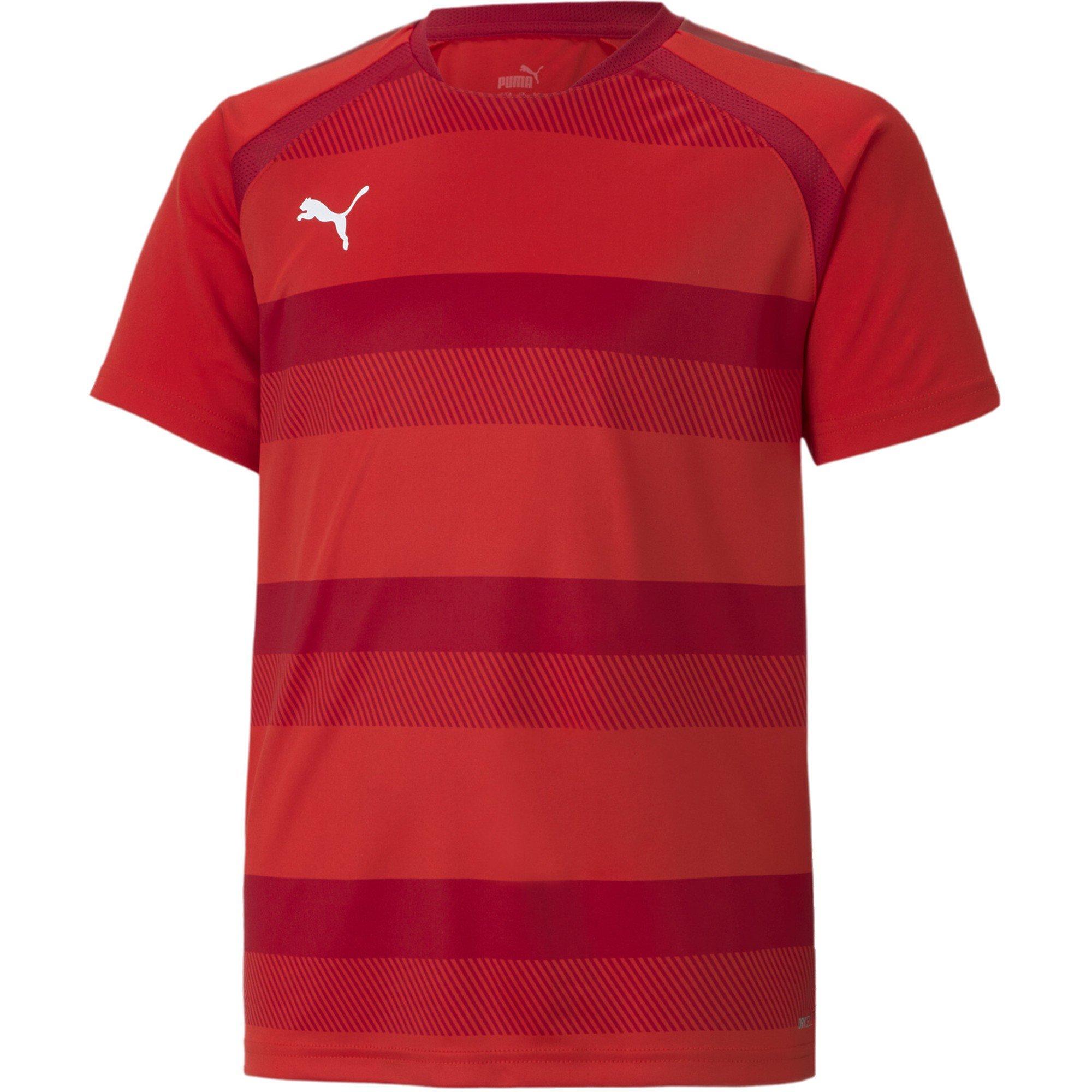 Puma Puma Teamvision Jersey Jr T-Shirt Unisex Kids