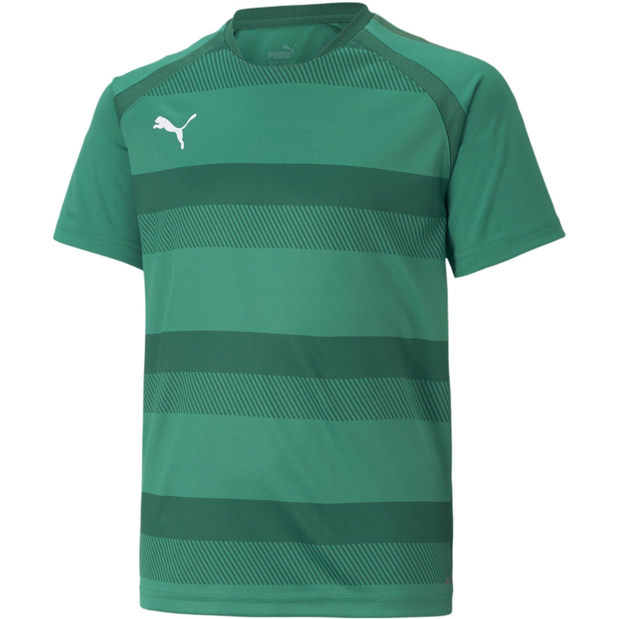 Puma  Kids Teamvision Jersey Jr T-Shirt - Pgrn-Pgrn-Wht - 13 (XL)