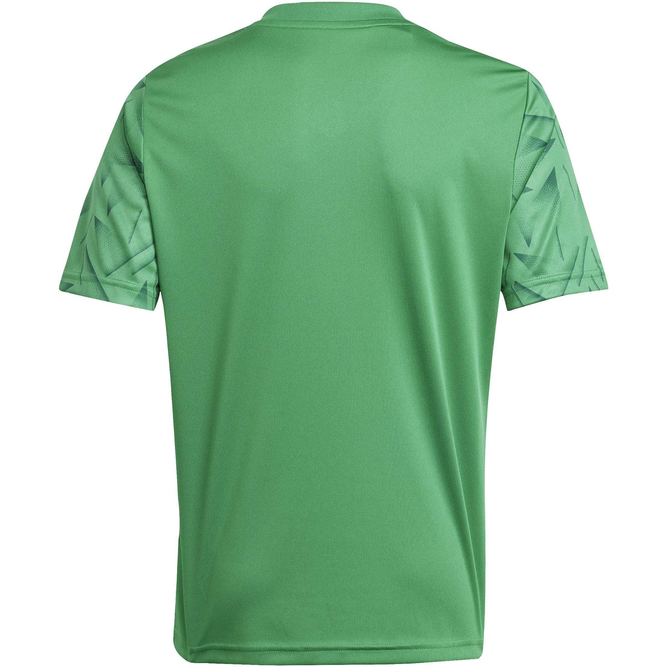 Team Green/Wh - adidas - Adidas T Icon25 Jsy Jn99 - 2
