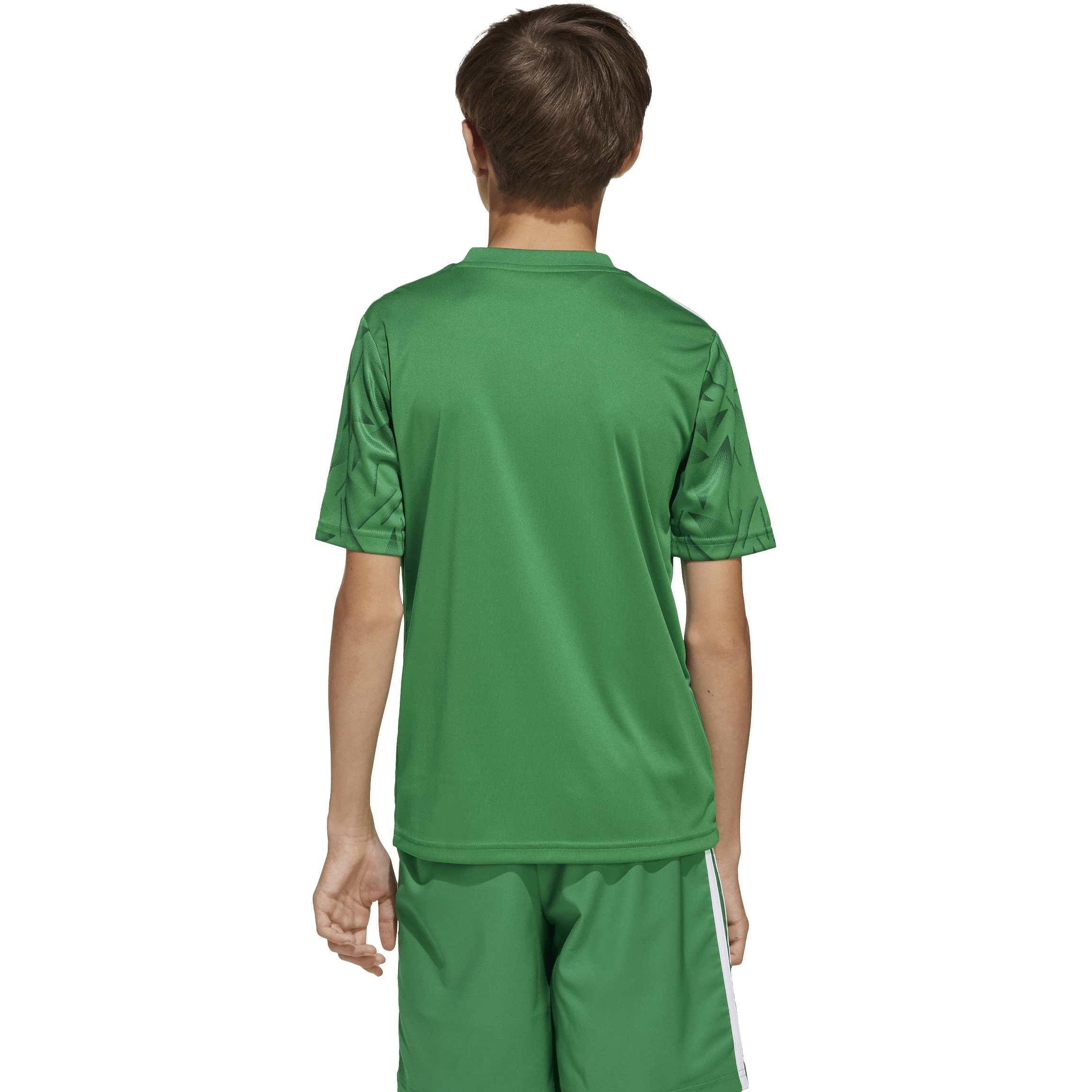 Team Green/Wh - adidas - Adidas T Icon25 Jsy Jn99 - 6