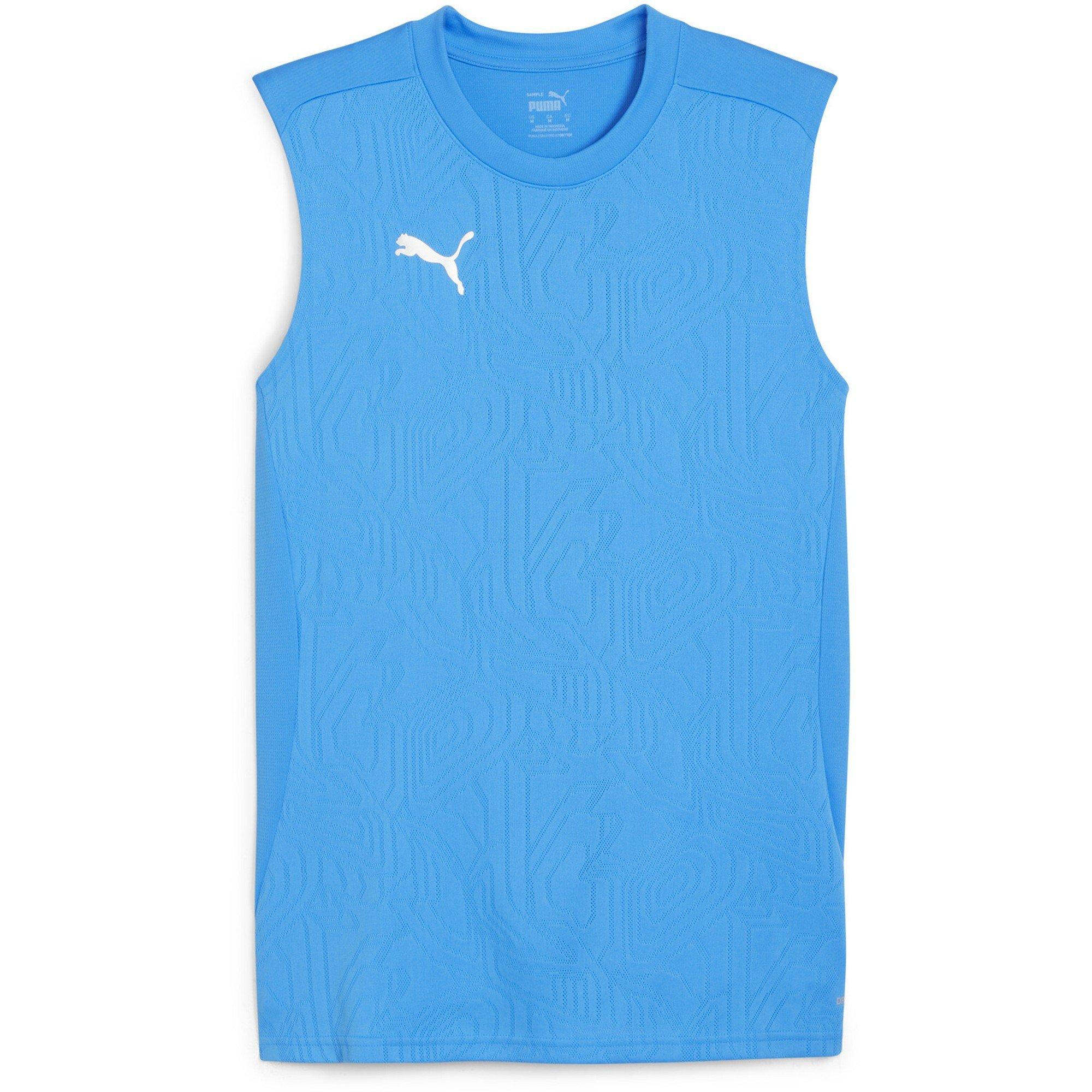 Puma Men's Teamfinal Training Short-Sleeve Performance T-Shirt - Ignite Blu/Silv - L