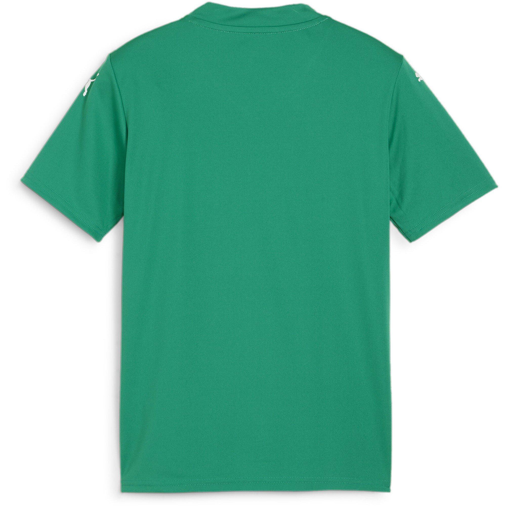 SGrn-Wht-PGrn - Puma - Puma Teamglory Jersey Jr T-Shirt Unisex Kids - 2