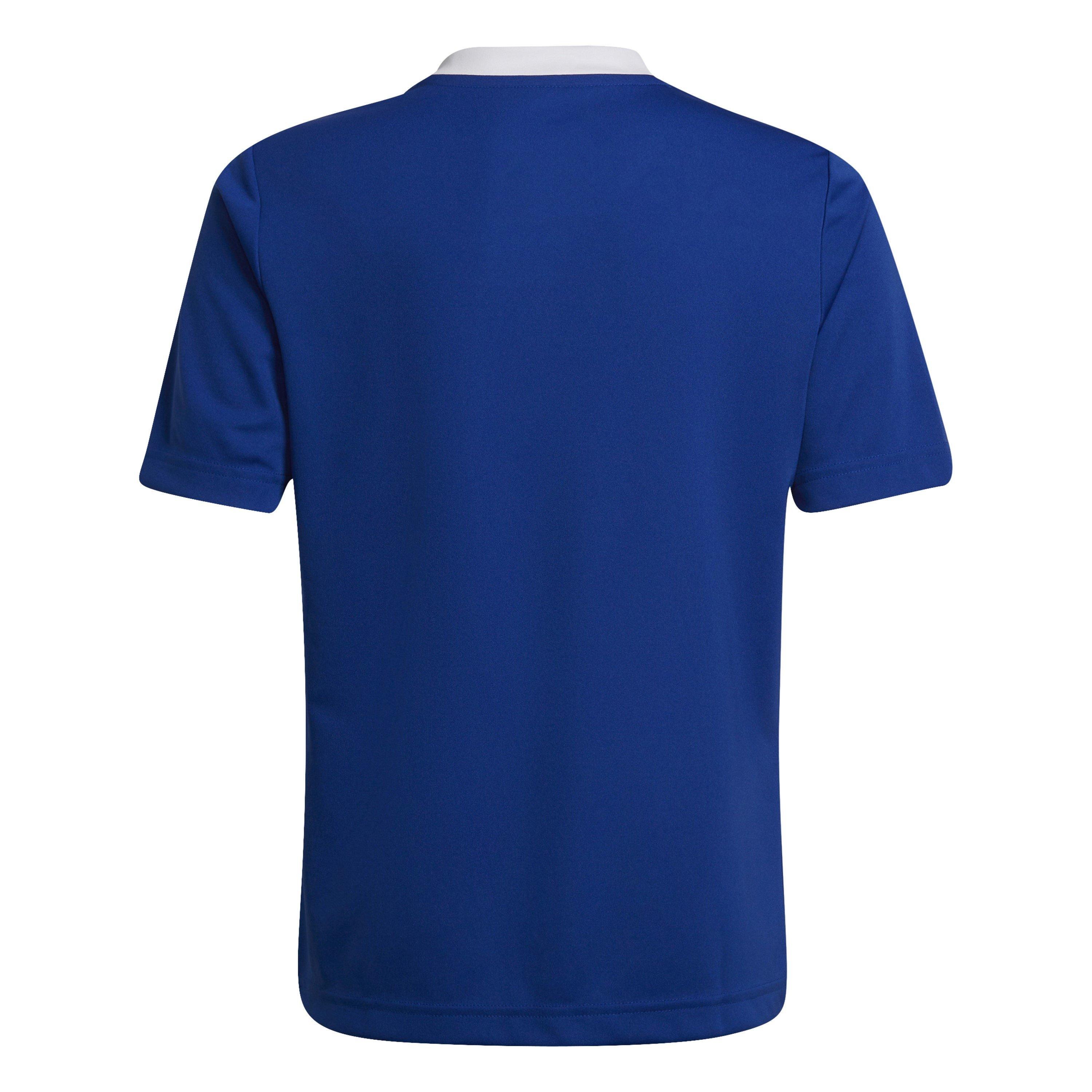 Royal Blue - adidas - Ent22 Jsy Y T-Shirt Unisex Kids - 2