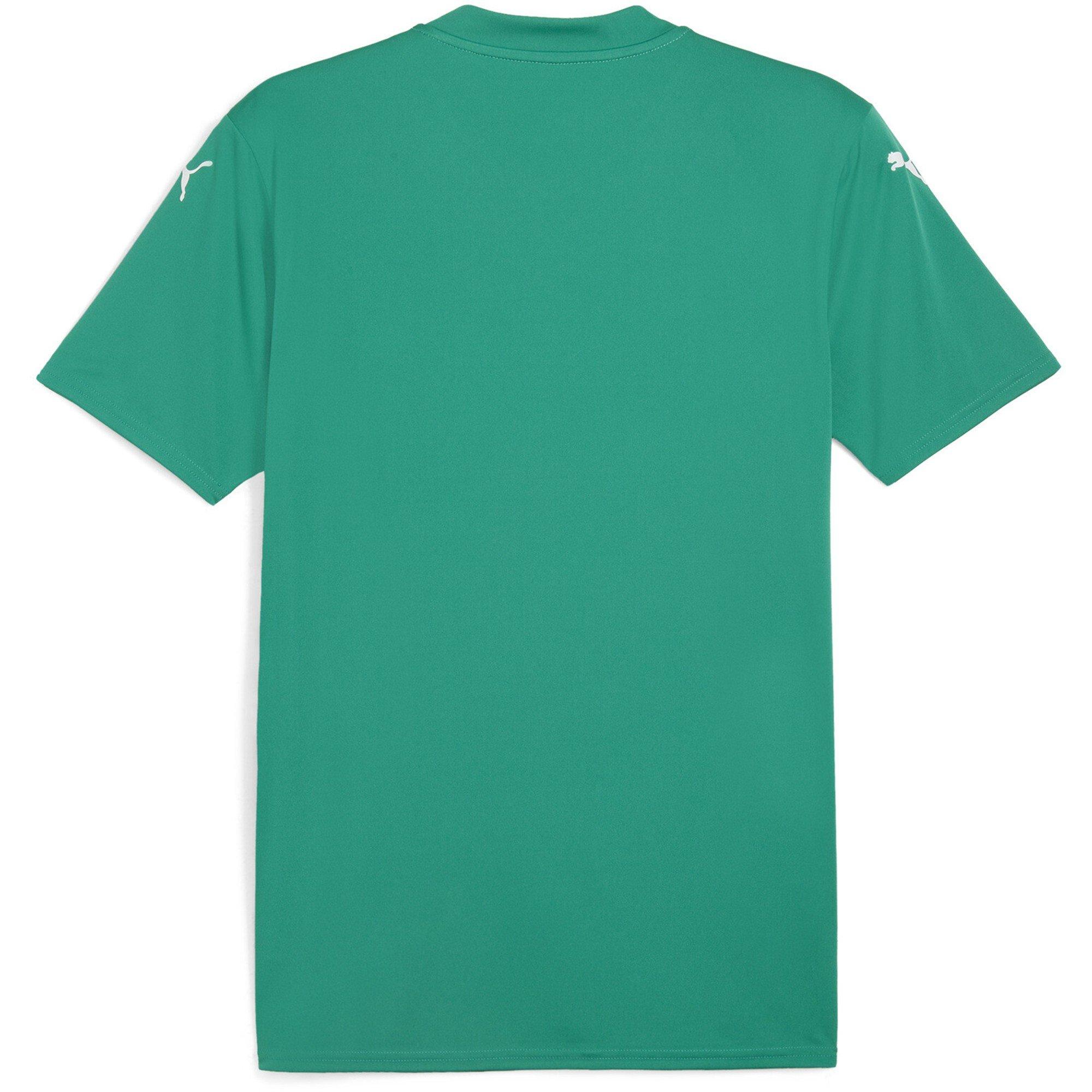 Sport Groen/Wit - Puma - Puma Teamglory Jersey T-Shirt Mens - 2