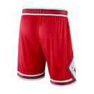 Taureaux - Nike - Miami Heat Icon Edition Men's  NBA Swingman Shorts - 2