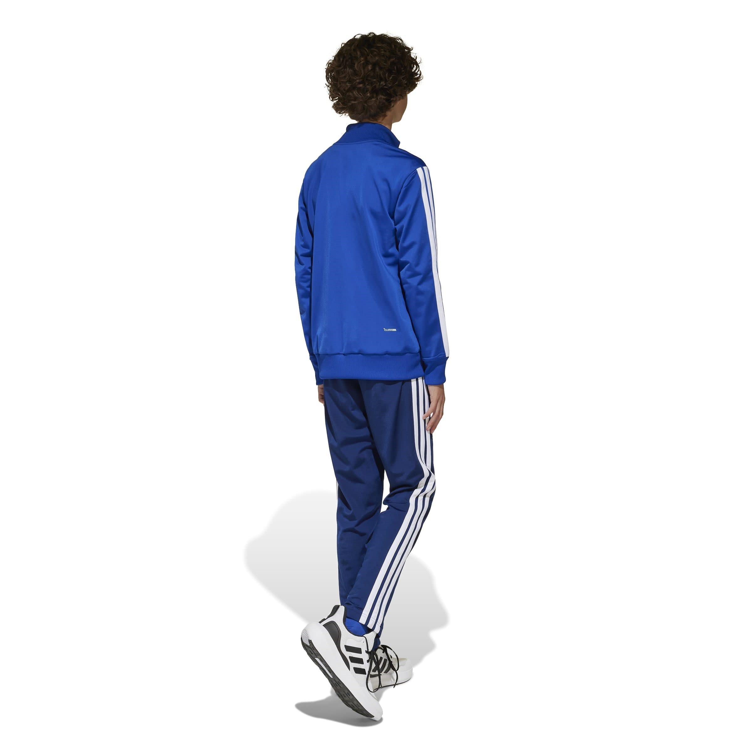 Blu/Wht/Glo Blu - adidas - Tiberio Poly Tracksuit - 5