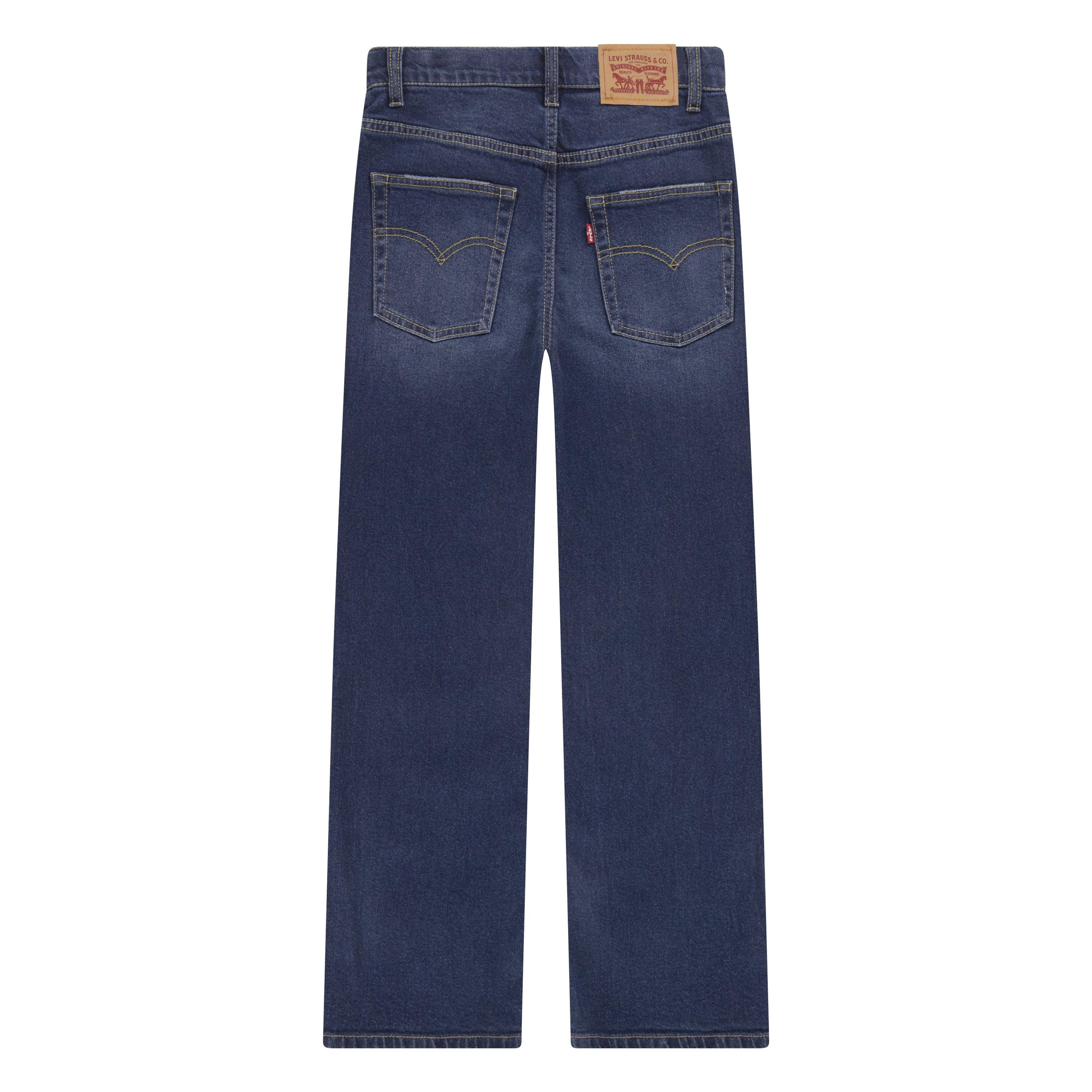 Sierra Pass DAE - Levis - Relaxed Straight Leg Jeans - 2