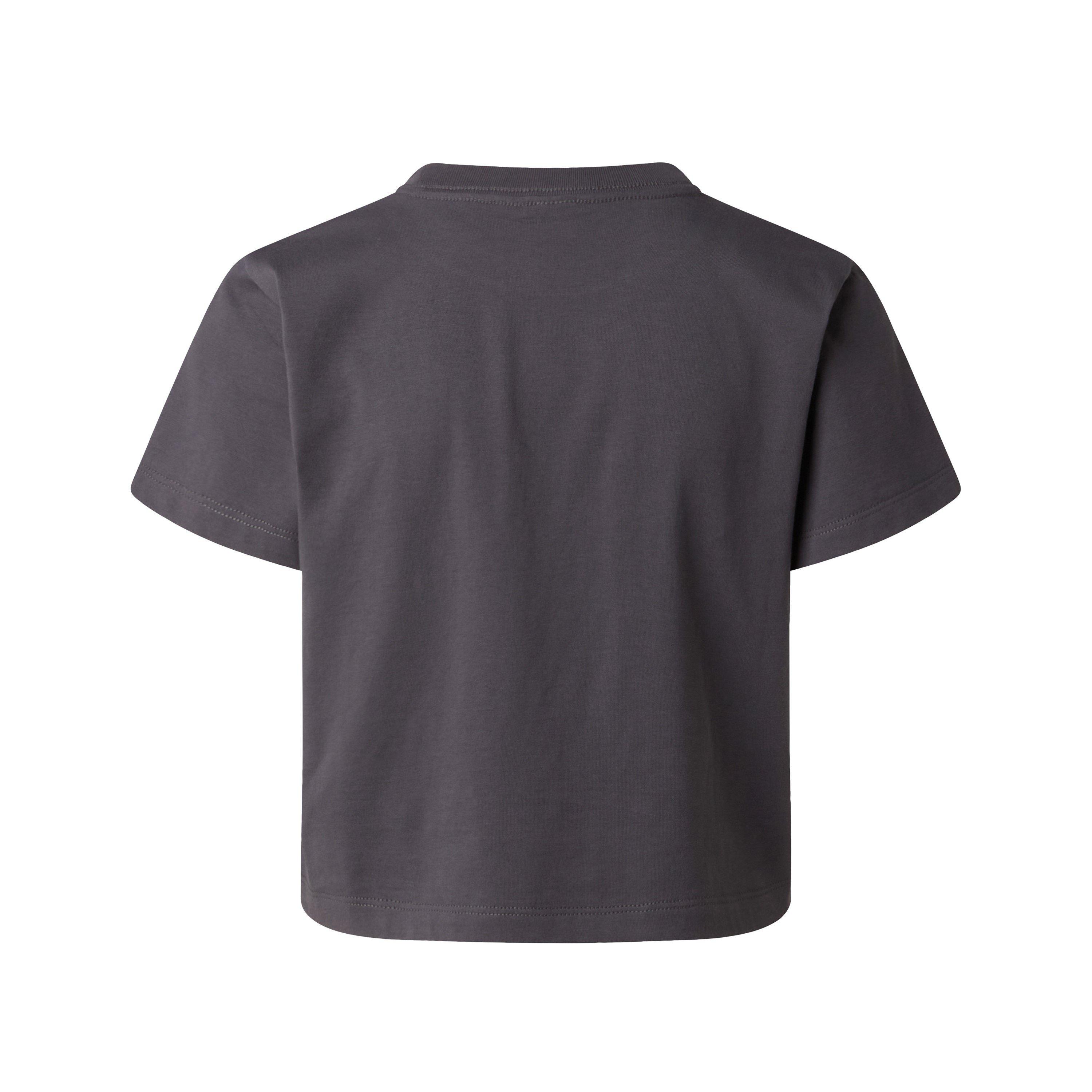 Anthracite Grey - The North Face - Essential Regular Cutie T-Shirt Womens - 2