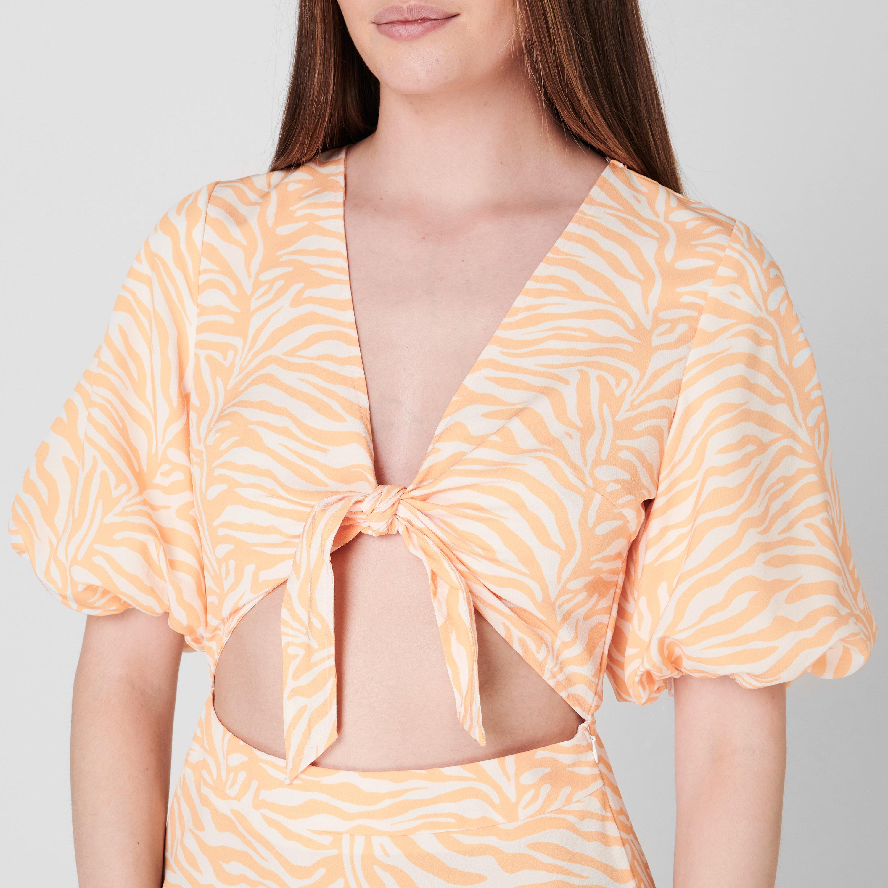 Orange Zebra - Pretty Lavish - Sophie Dress - 5