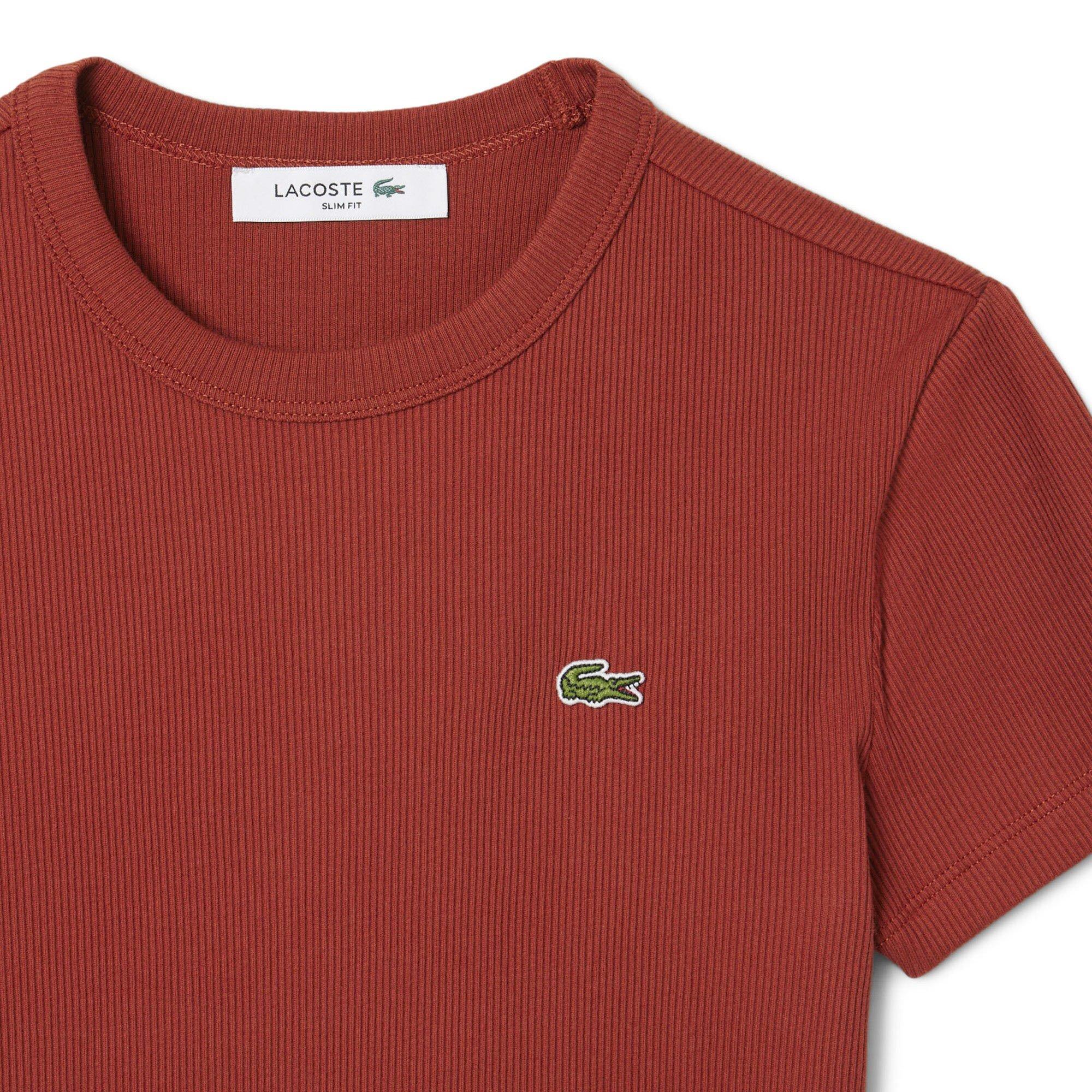 IBERIS - Lacoste - Women's Rib Slim Fit T-Shirt - 2