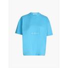 Blue Crush - Unisex-Sweatshirt mit Kapuze 216 Jahre - Champion Grå t-shirt med rund hals og lange ærmer - 1